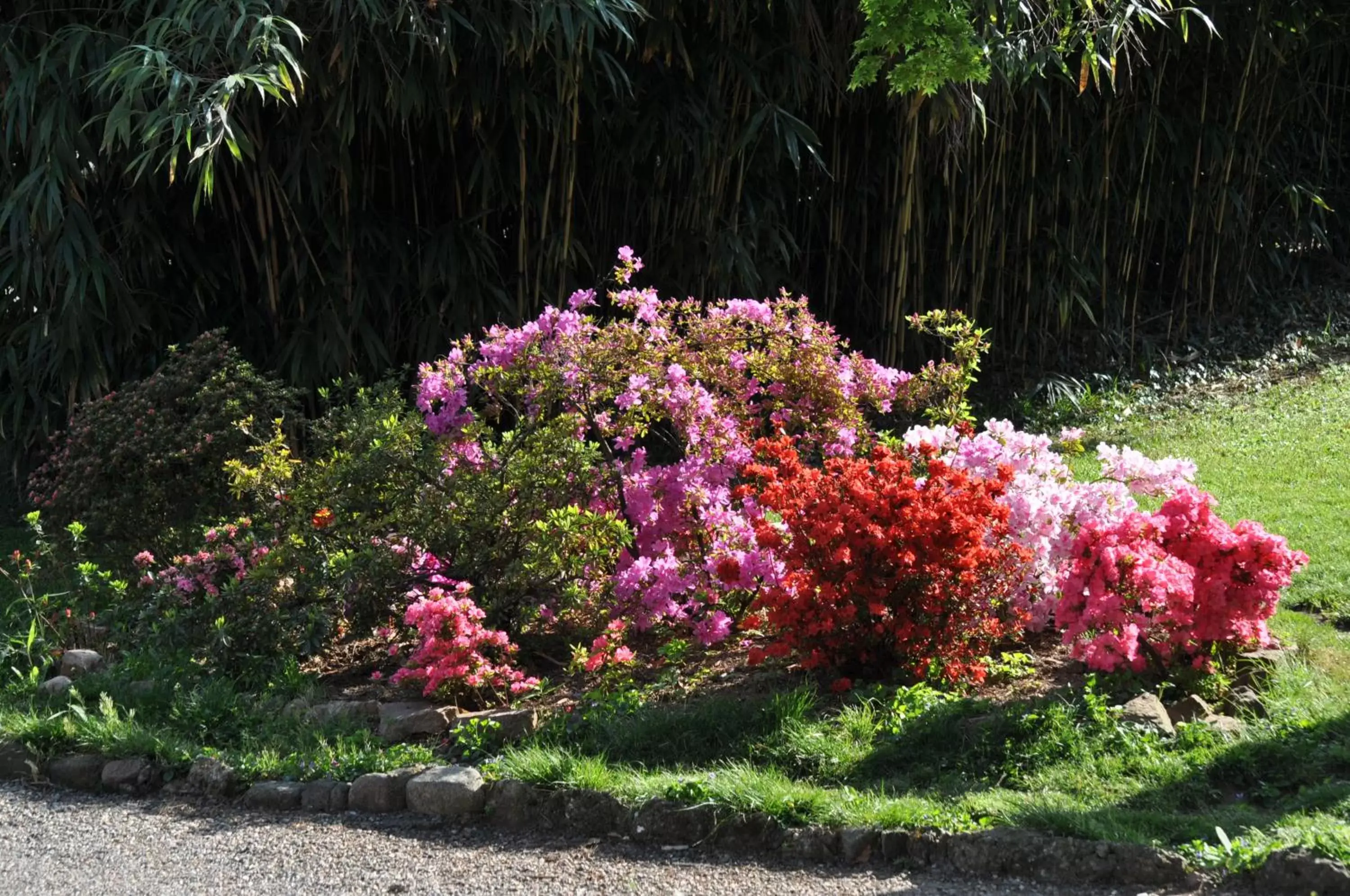 Spring, Garden in Invilla B&B