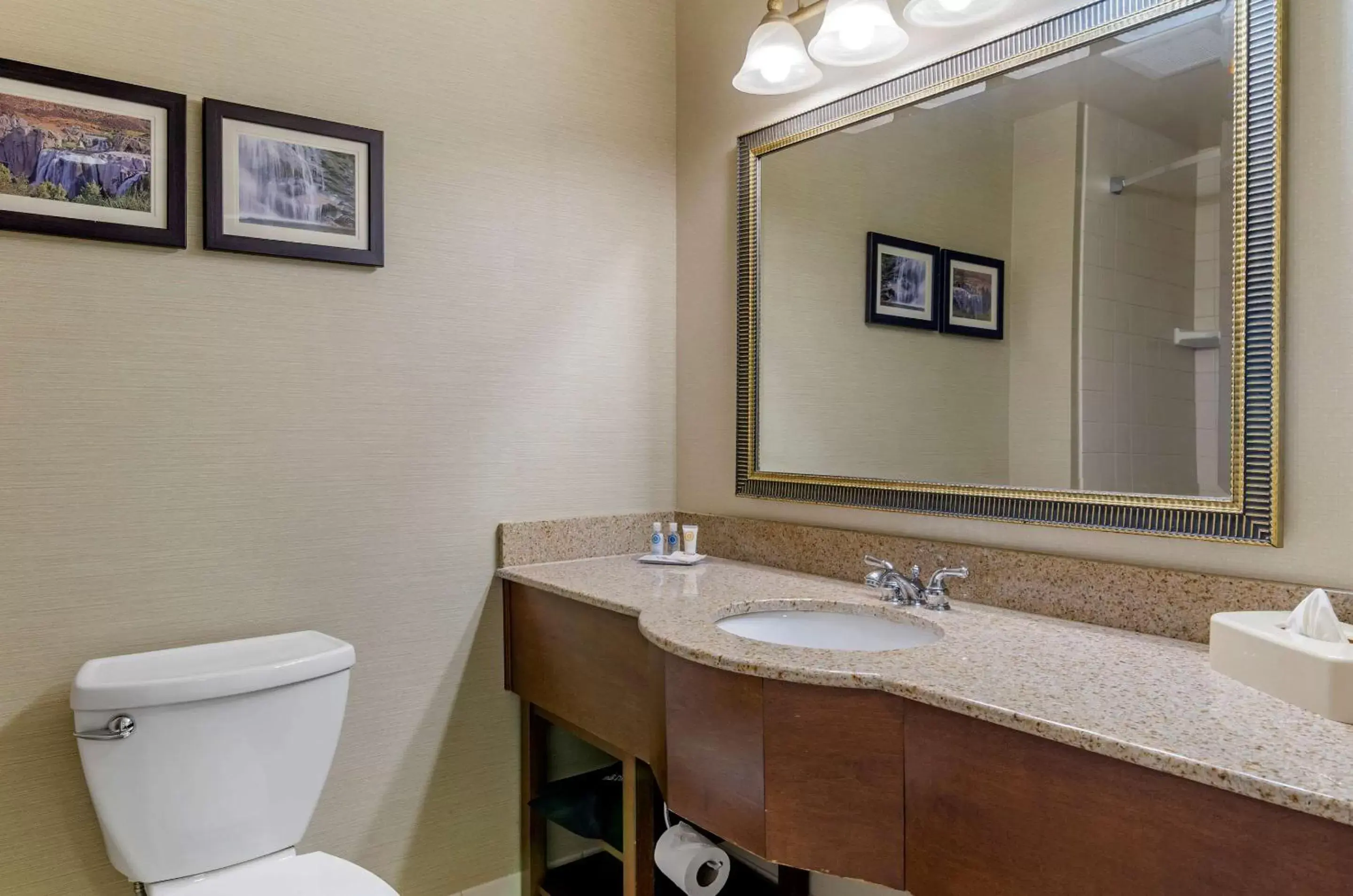 Bathroom in Comfort Inn & Suites Jerome - Twin Falls