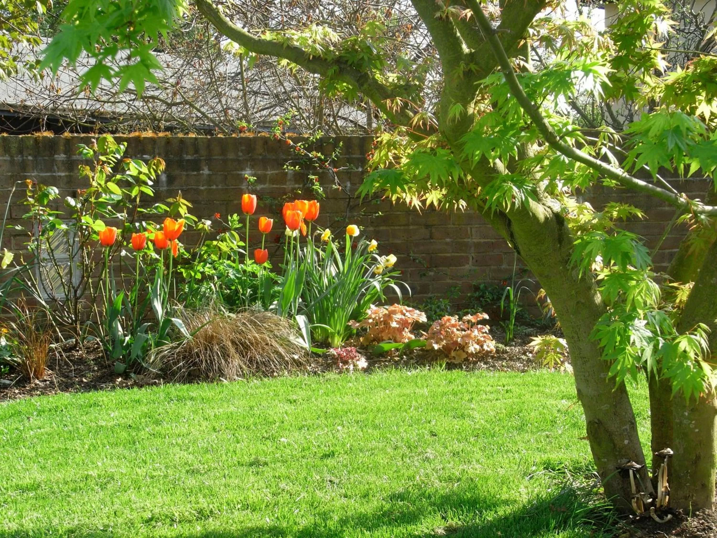Garden in South Lodge