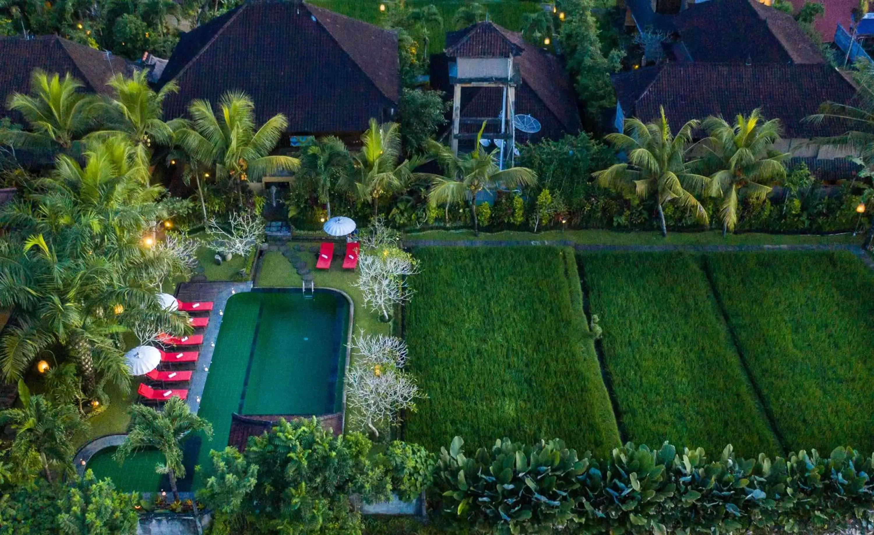 Swimming pool, Bird's-eye View in Bliss Ubud Spa Resort