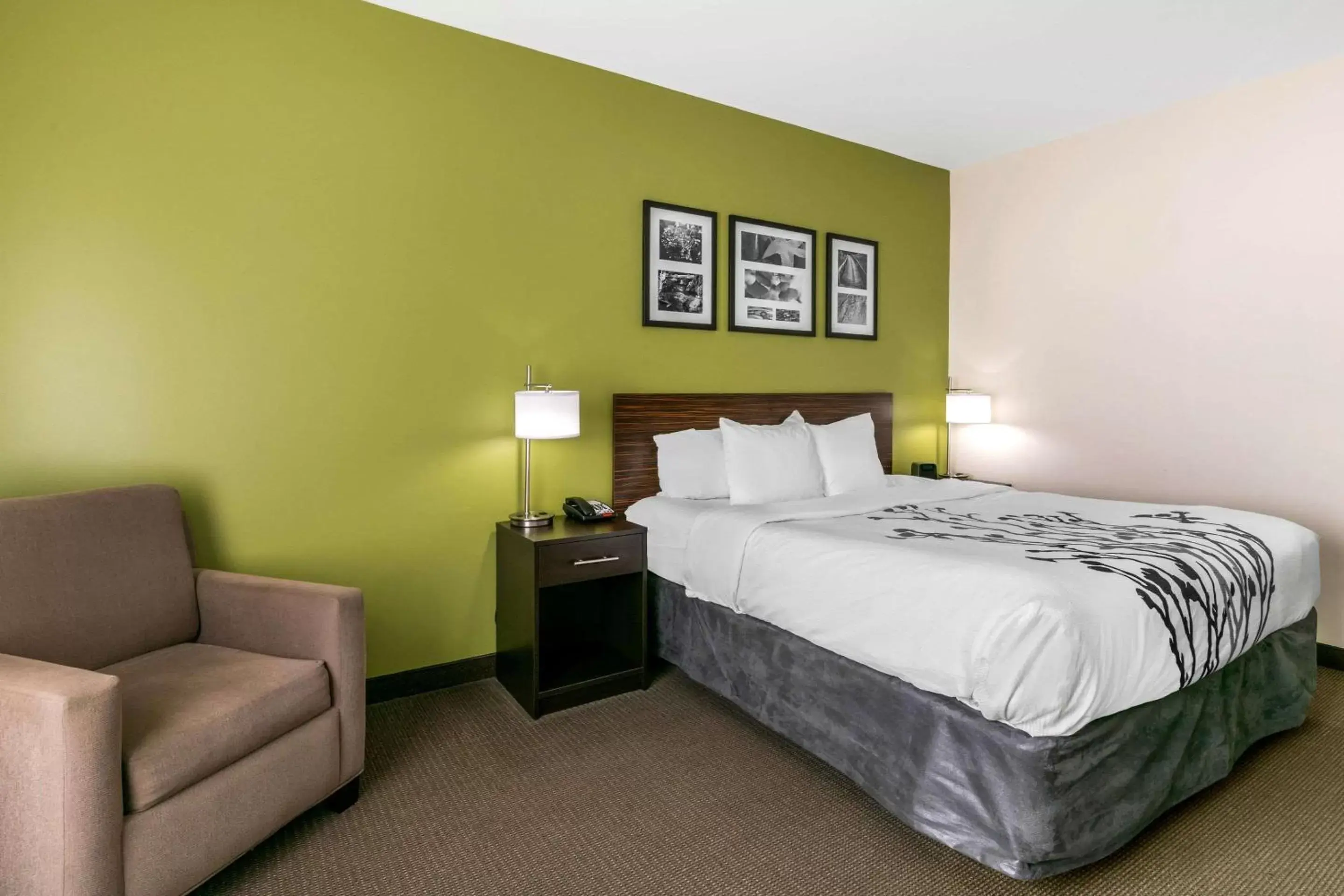 Photo of the whole room, Bed in Sleep Inn & Suites Columbia