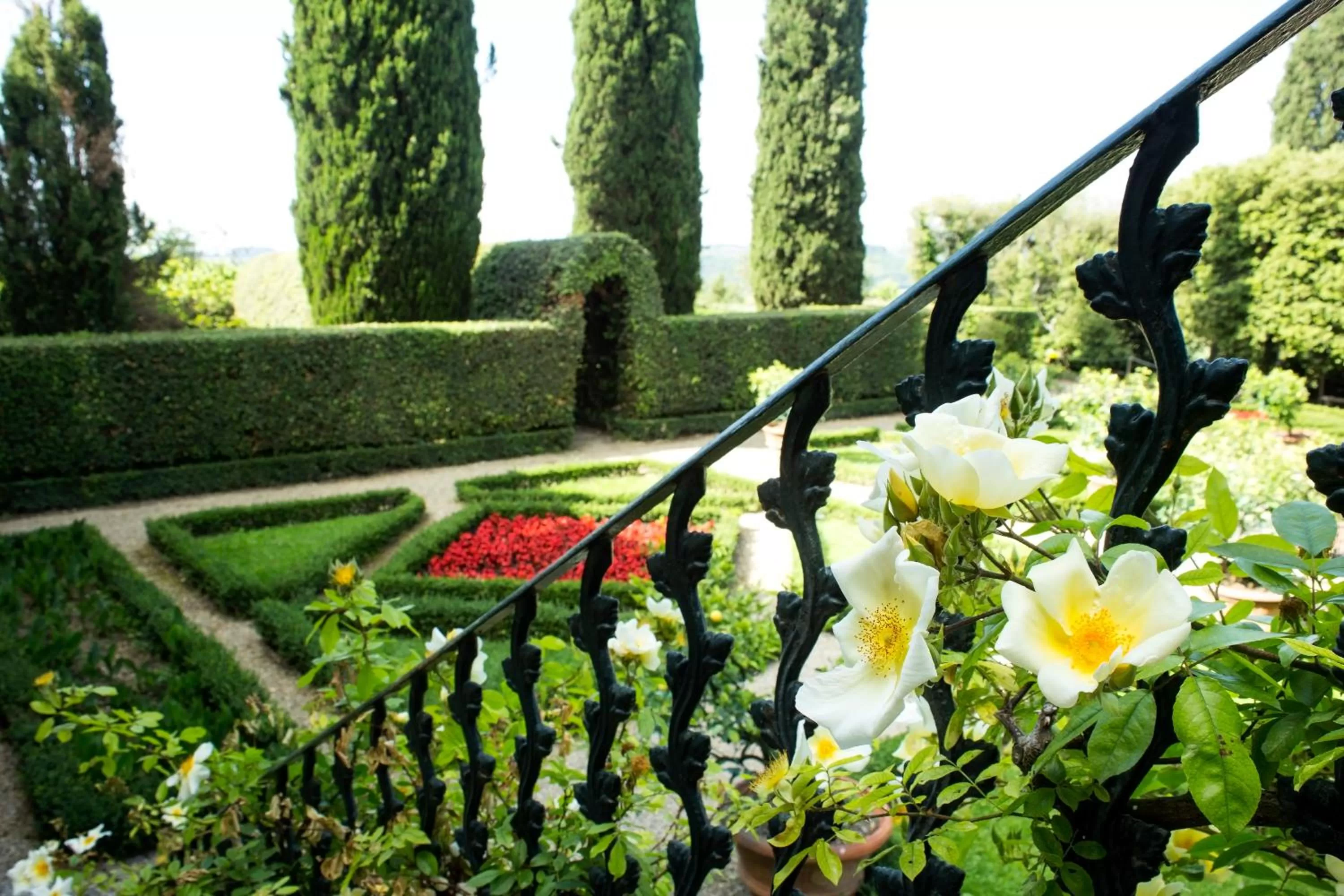 Garden in Certosa di Pontignano Residenza d'Epoca - Place of Charme