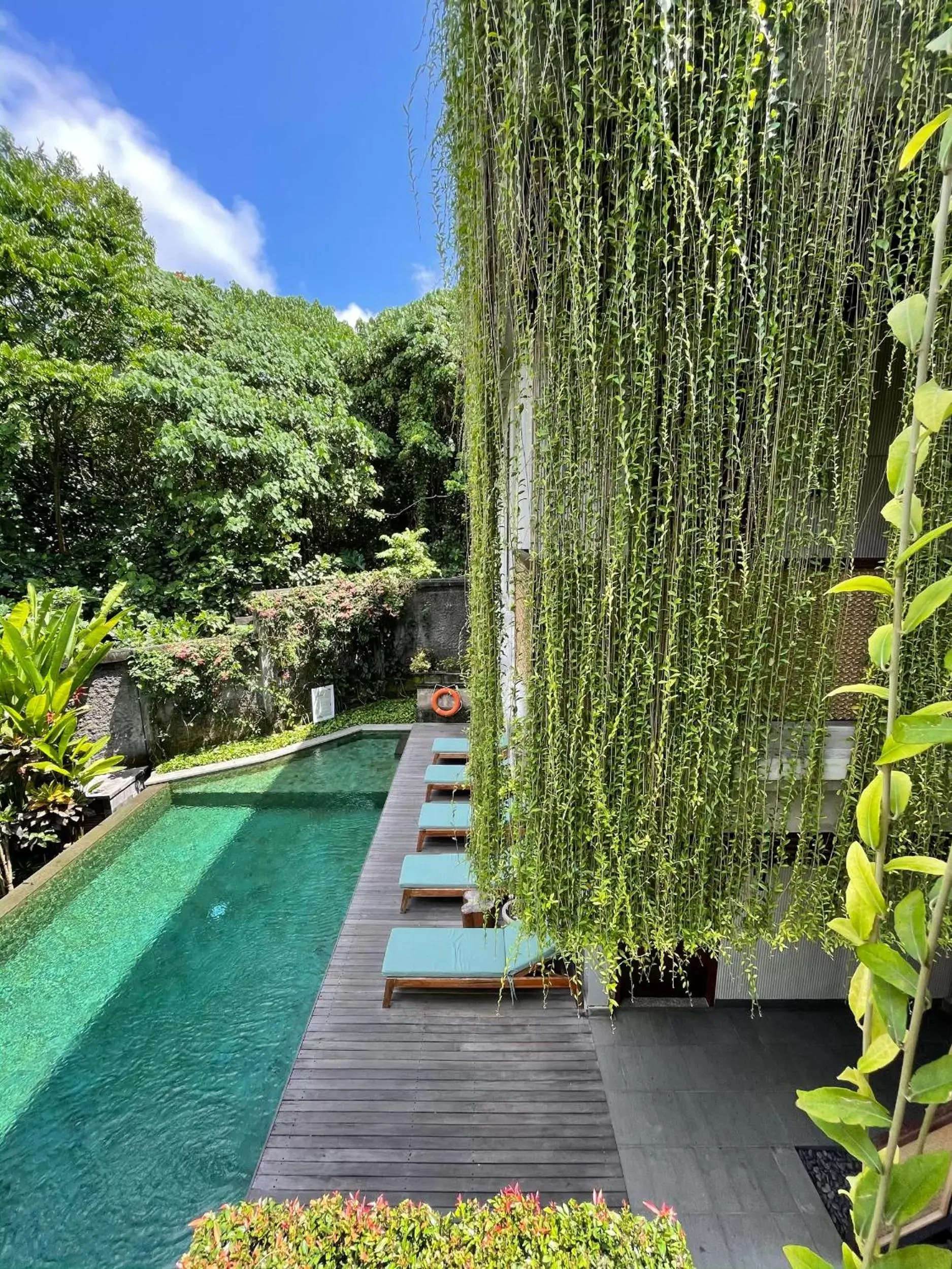 Pool view, Swimming Pool in ARTOTEL Haniman Ubud