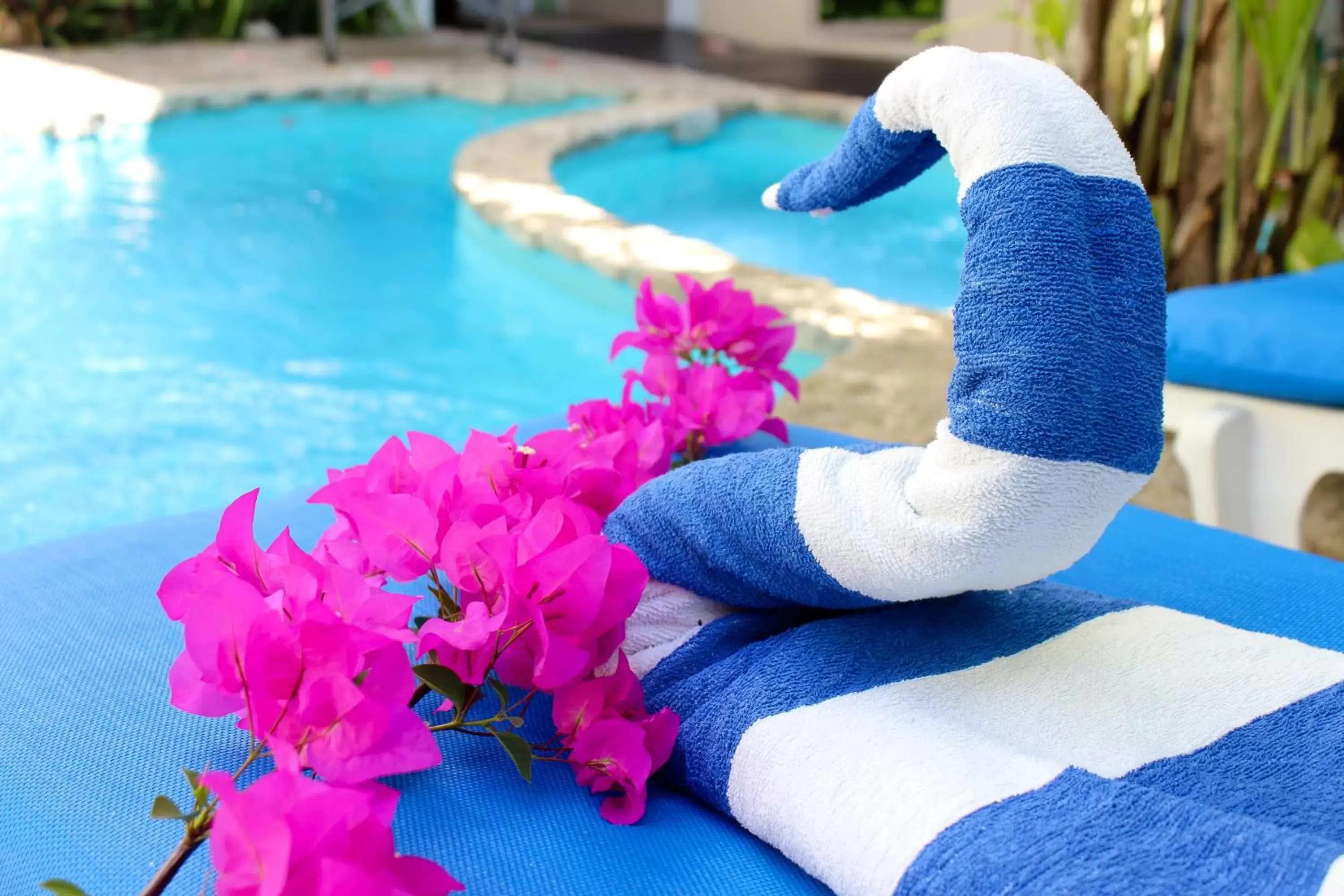 Swimming Pool in Hotel Careyes Puerto Escondido