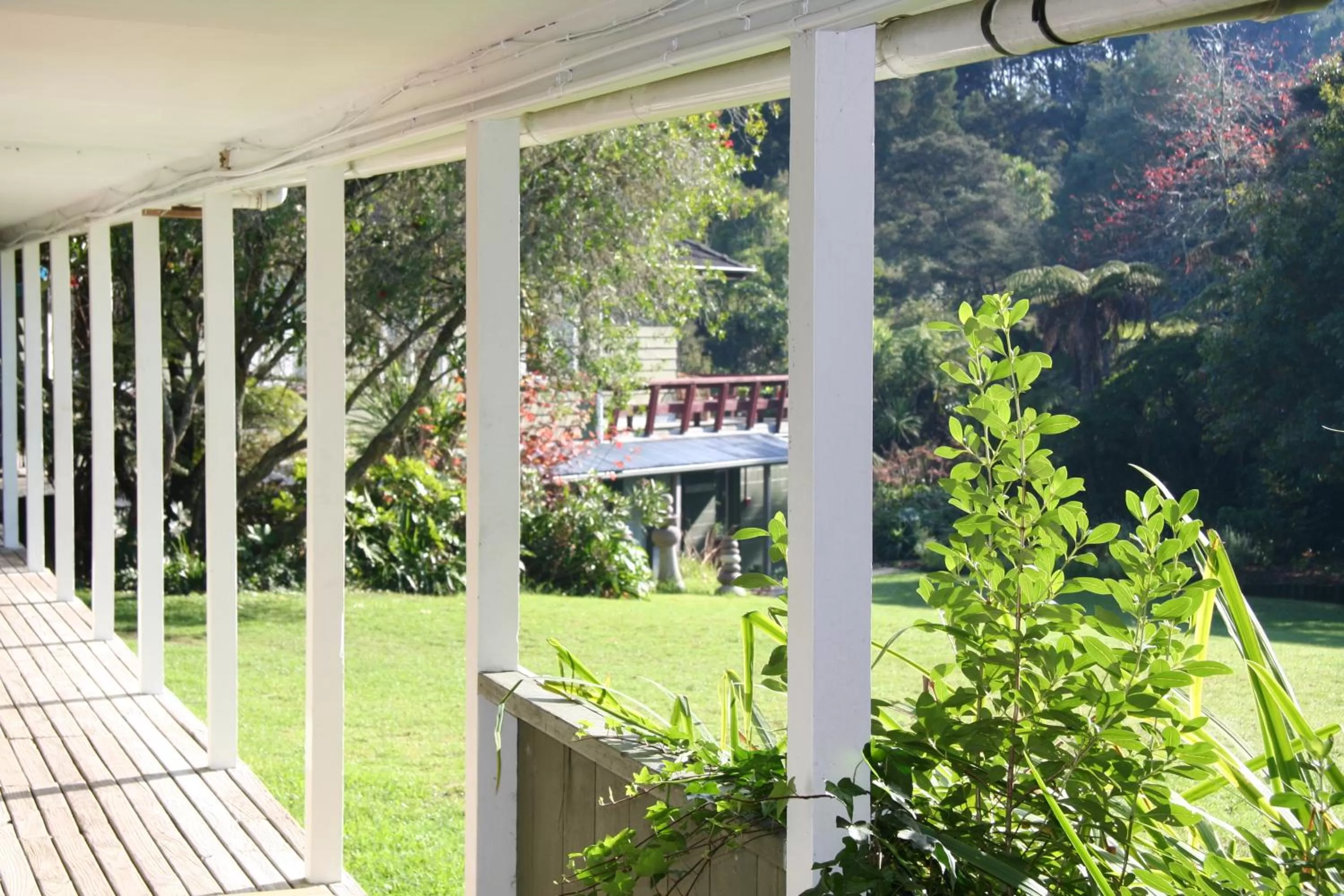 Day in Kawai Purapura Yoga Retreat Centre