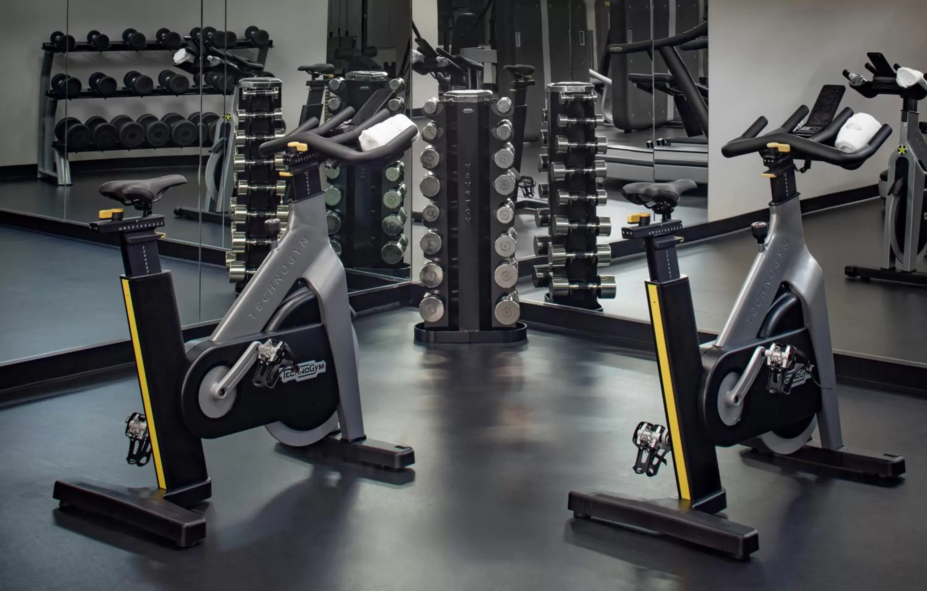 Fitness centre/facilities, Fitness Center/Facilities in The Watergate Hotel Georgetown