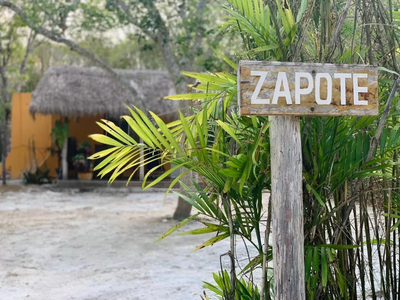 View (from property/room) in Casa Kaan Calakmul