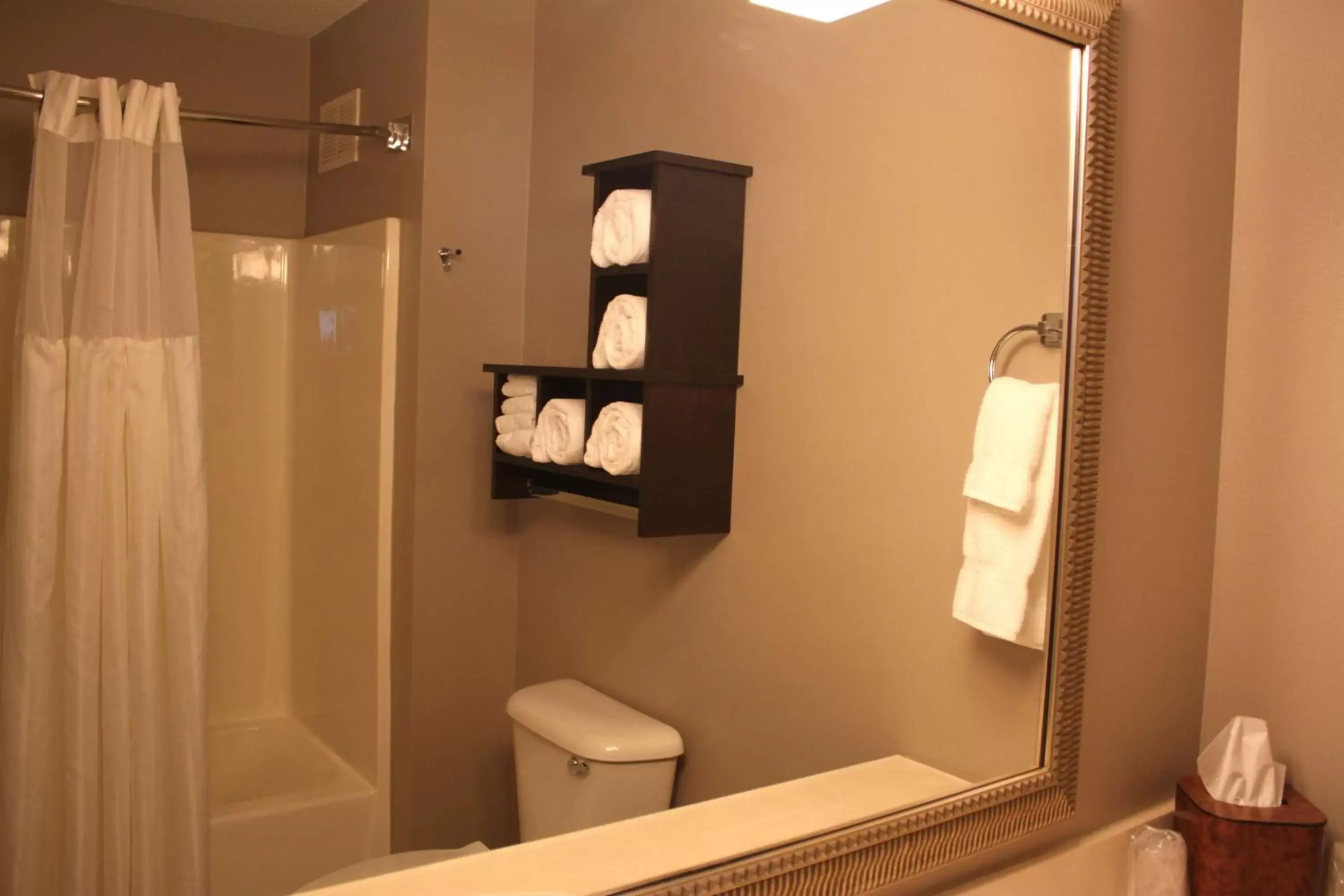 Bathroom in GrandStay Residential Suites Hotel - Eau Claire