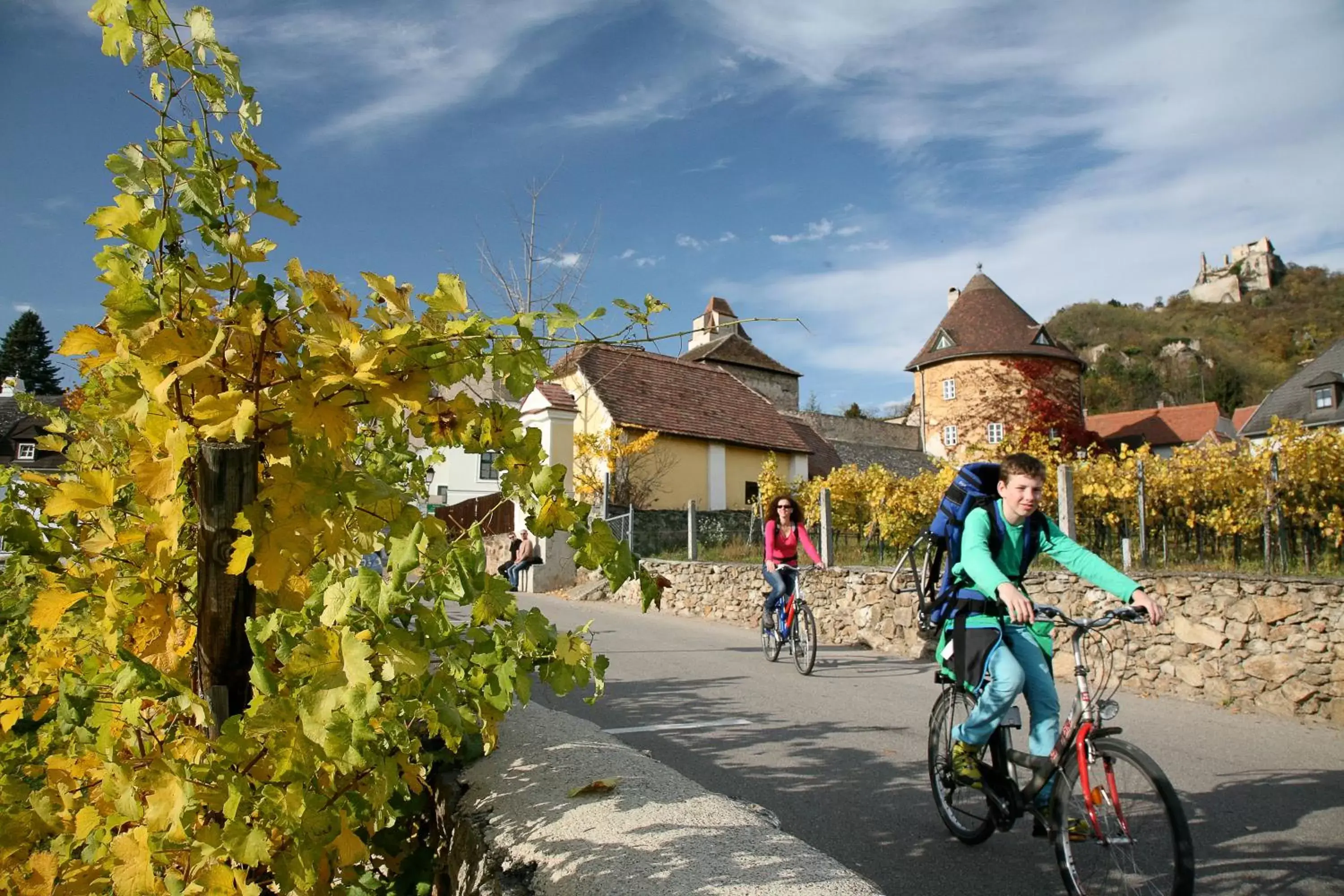 Activities, Biking in Hotel Stadt Melk