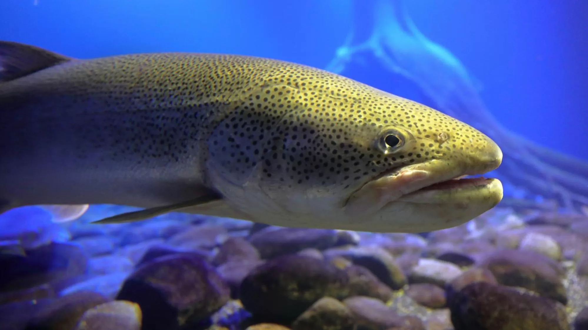 Nearby landmark in Toyoko Inn Hokkaido Kitami Ekimae