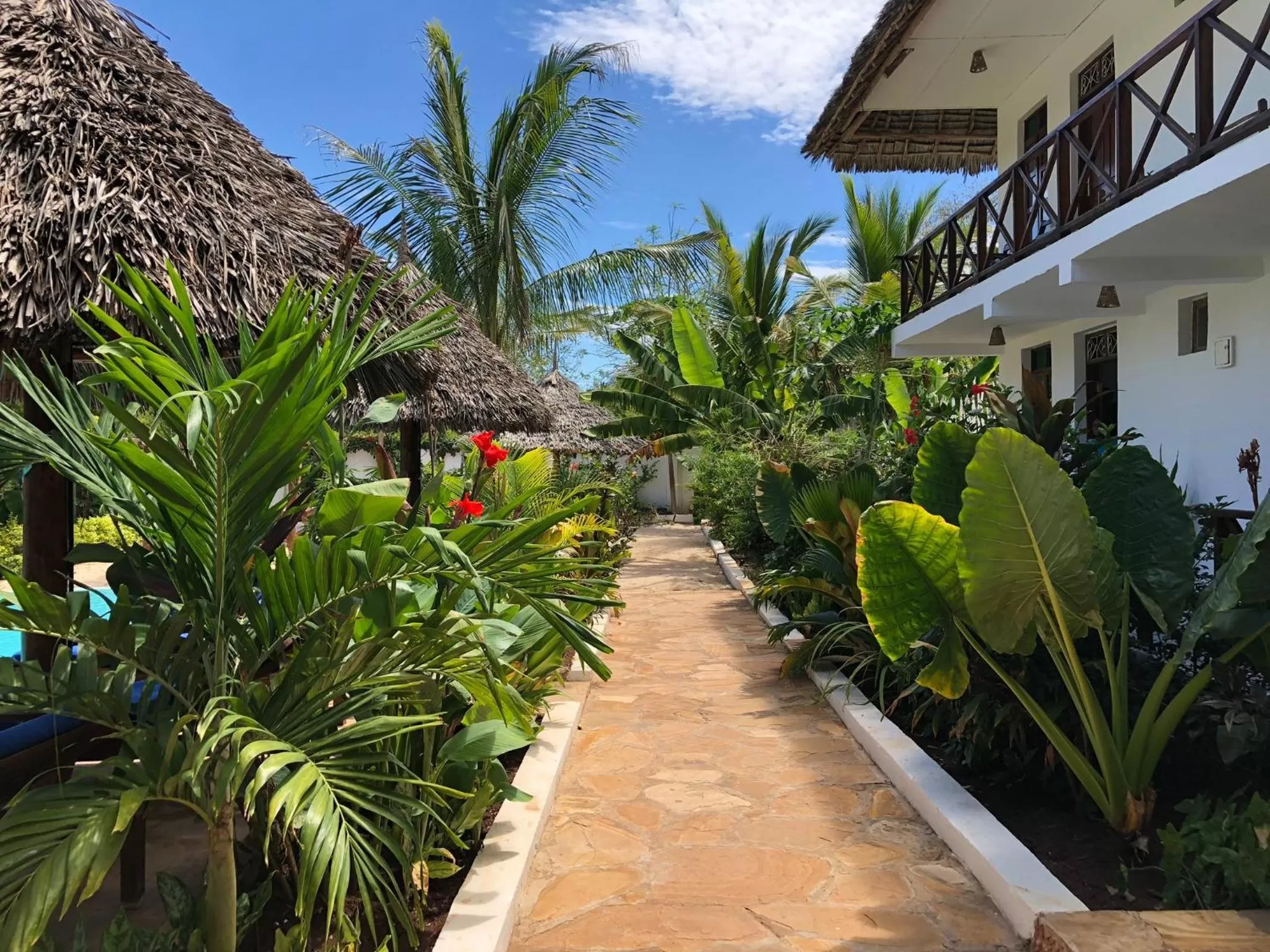 Garden, Property Building in Aluna Nungwi