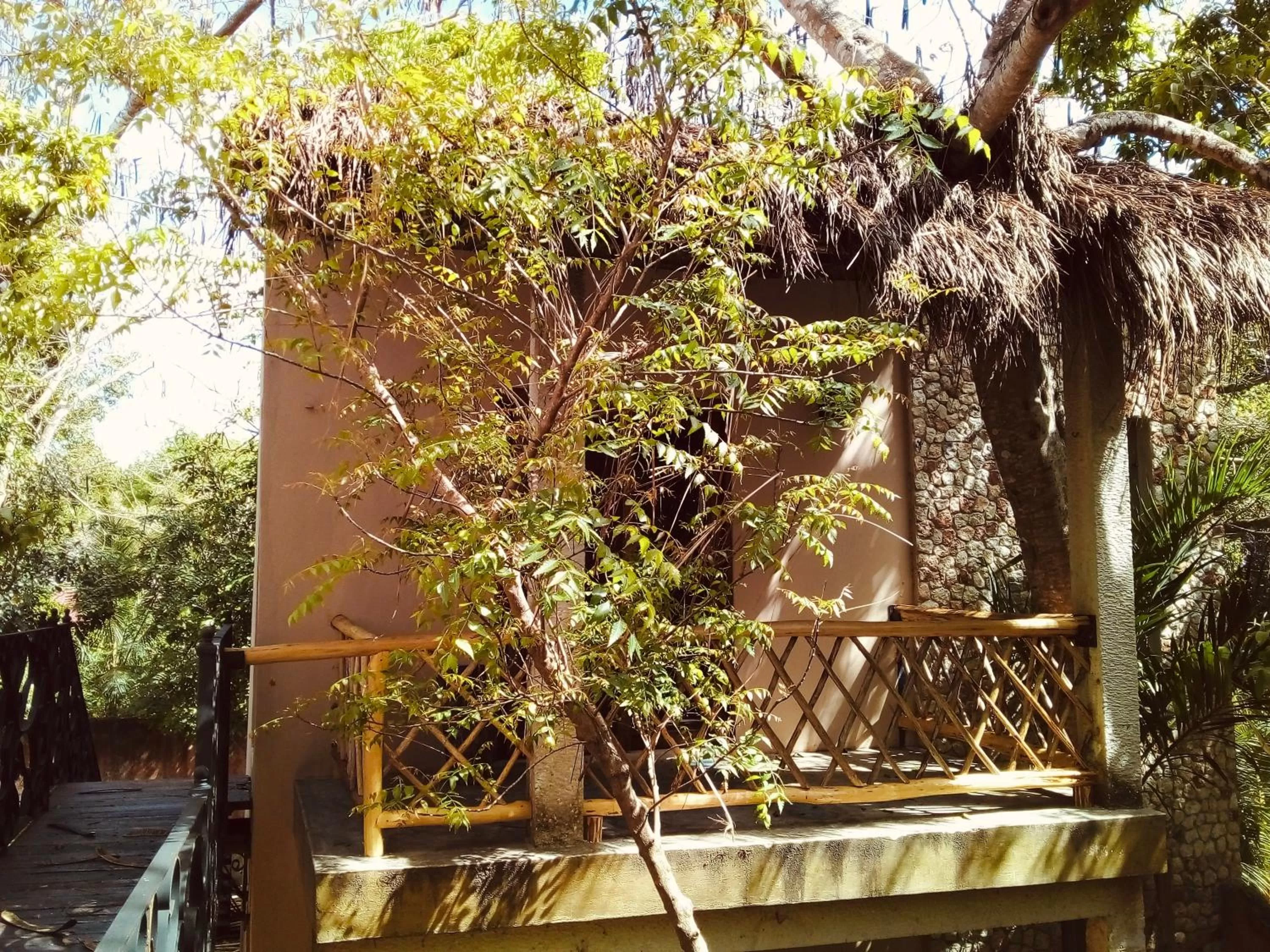 Garden view in Hotel Boutique Refugio 41