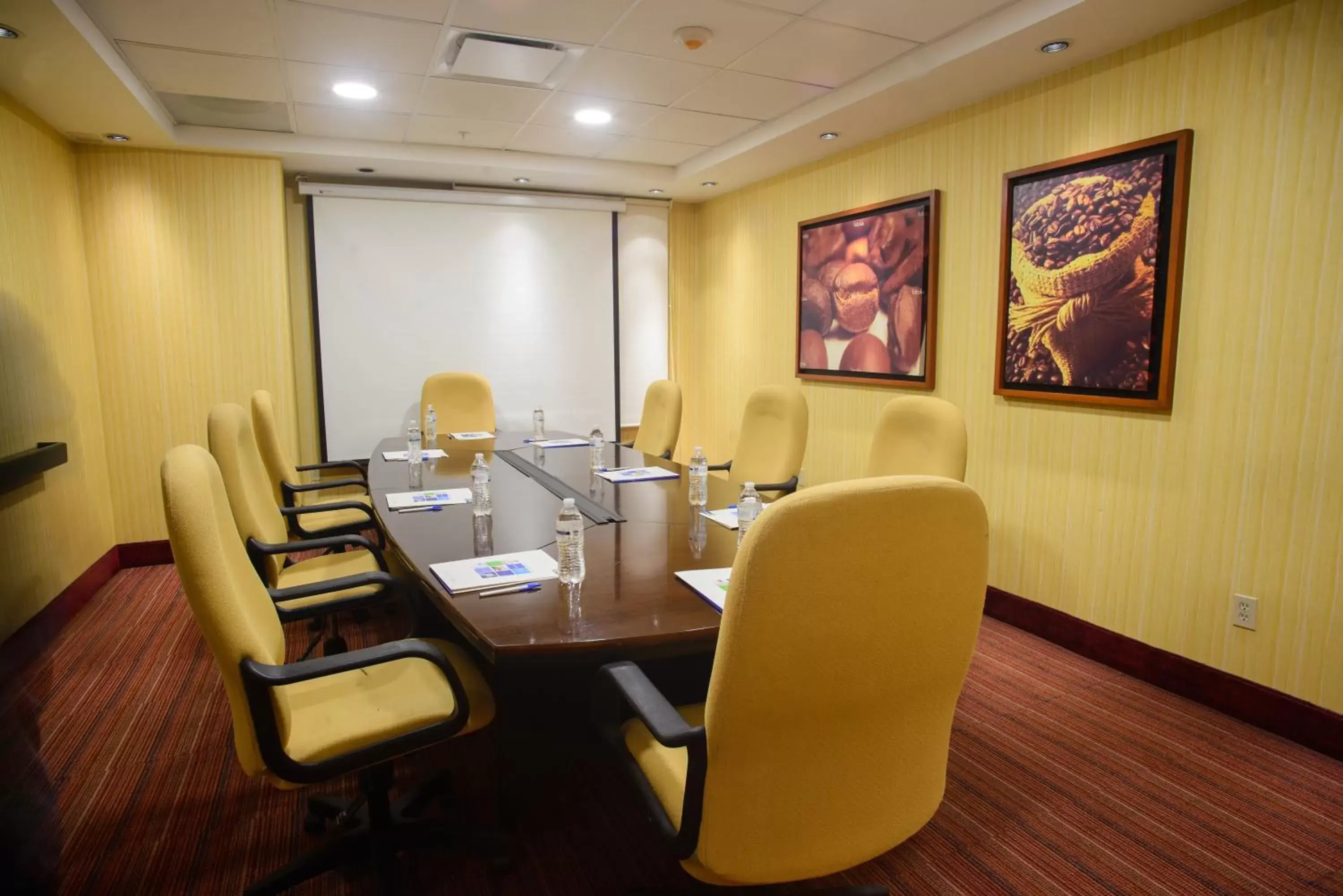 Meeting/conference room in Holiday Inn Express Tapachula, an IHG Hotel