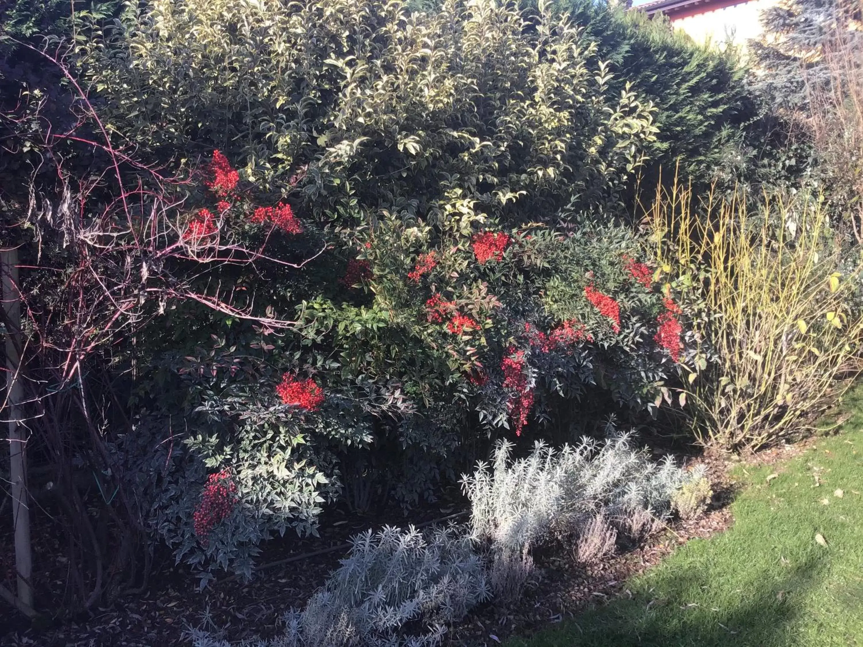 Garden in Villa Matildis