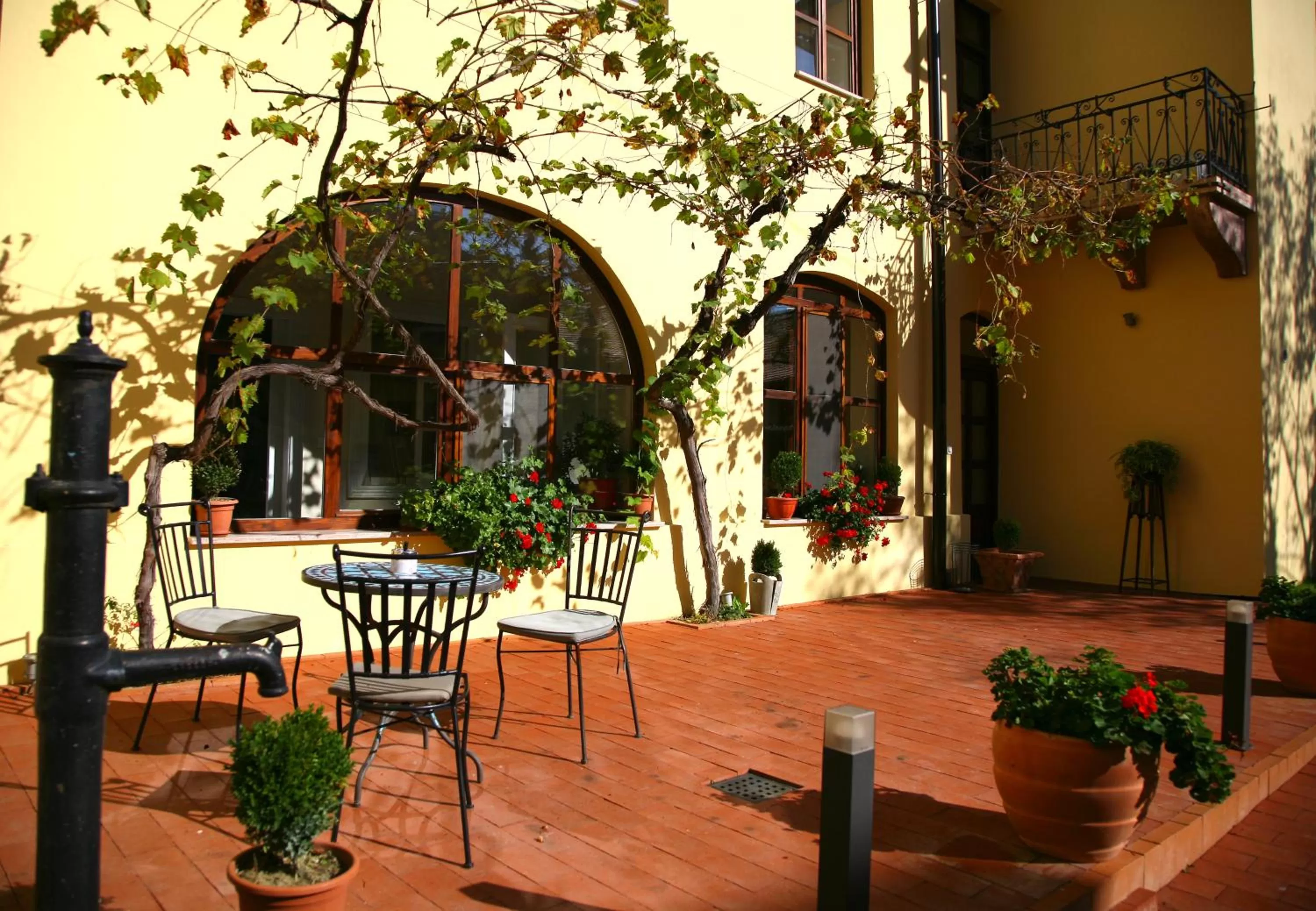 Garden in Maksimilian Osijek