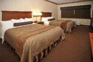 Bed in Best Western Plus Shamrock Inn & Suites