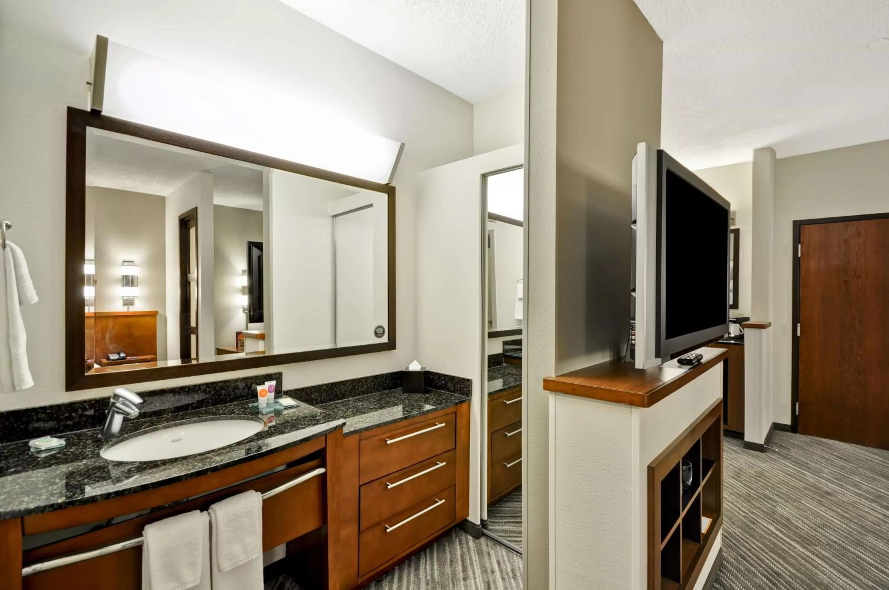 Bathroom in Hyatt Place Tampa Airport/Westshore