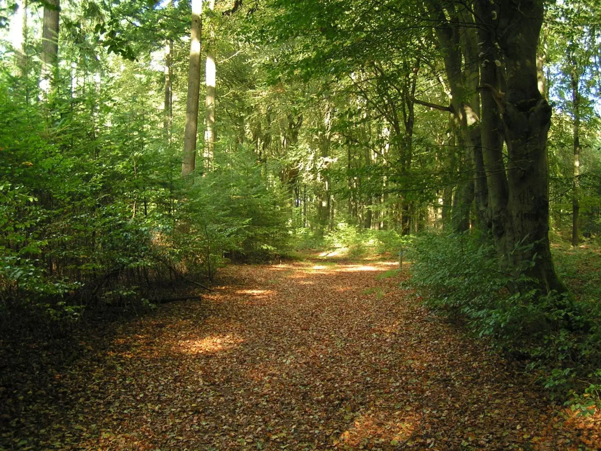 Horse-riding, Garden in Fletcher Hotel-Restaurant Mooi Veluwe