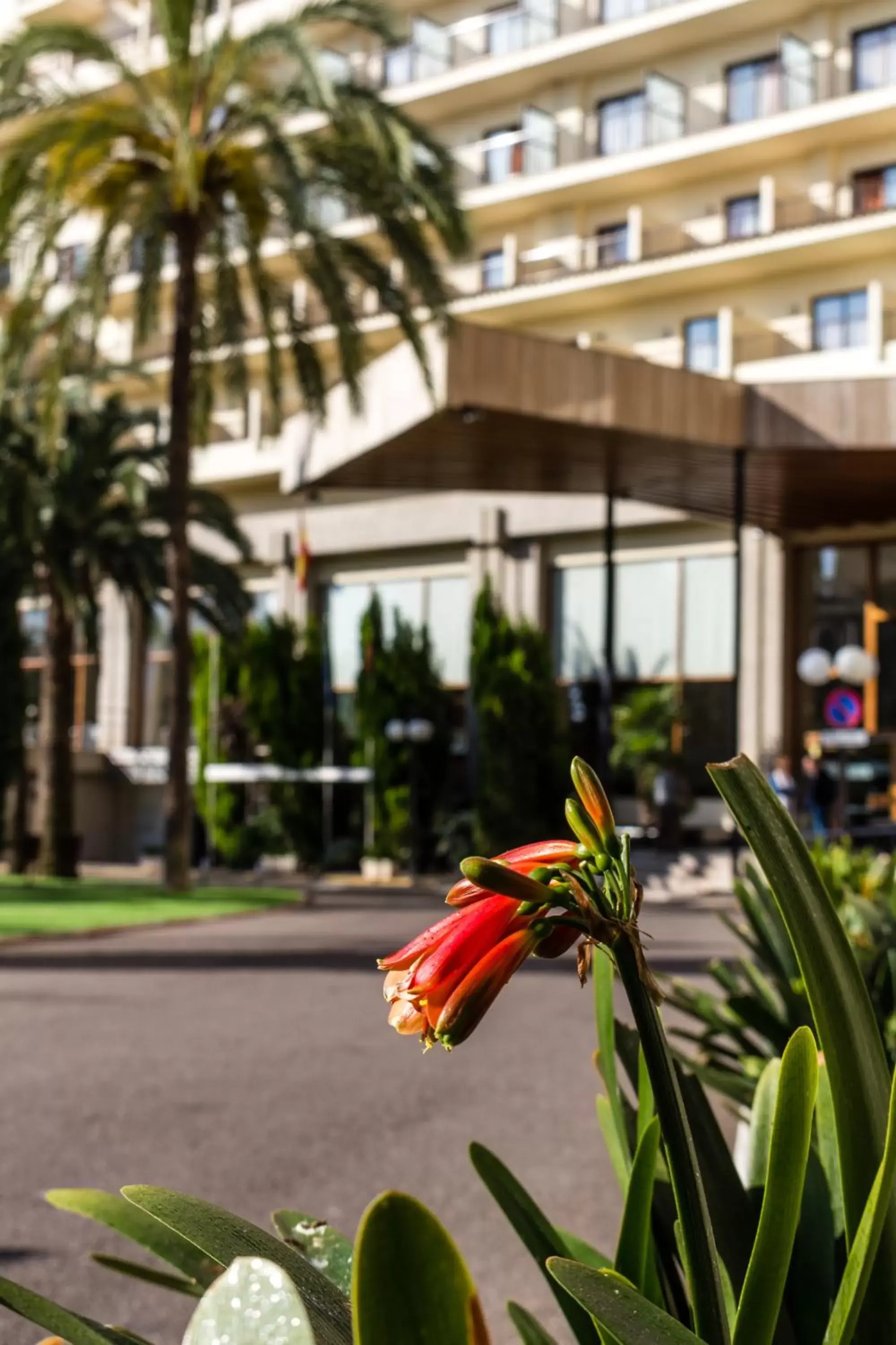 Facade/entrance in Intelier Orange Facade/entrance in Intelier Orange