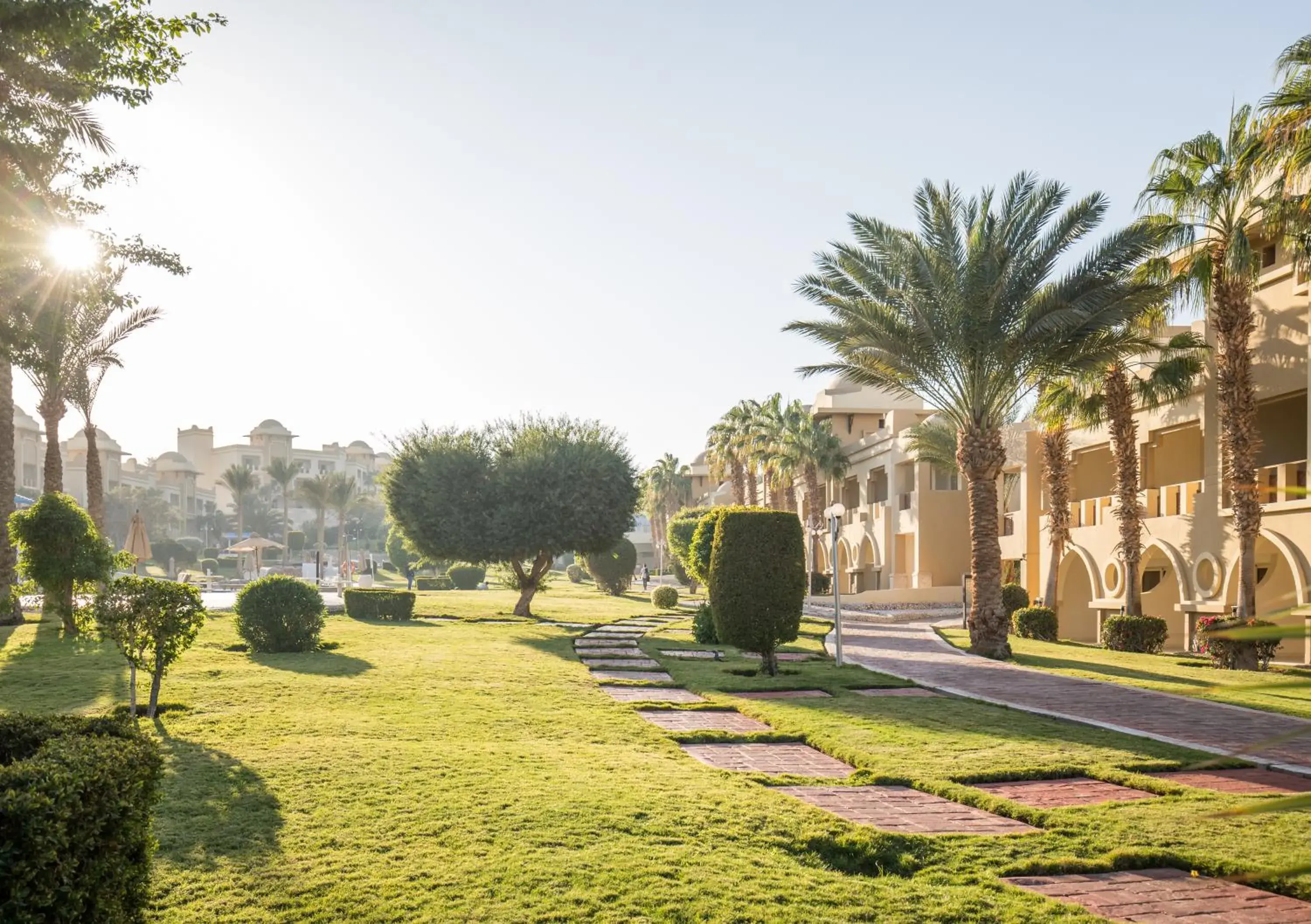 Natural landscape, Garden in Serenity Makadi Beach