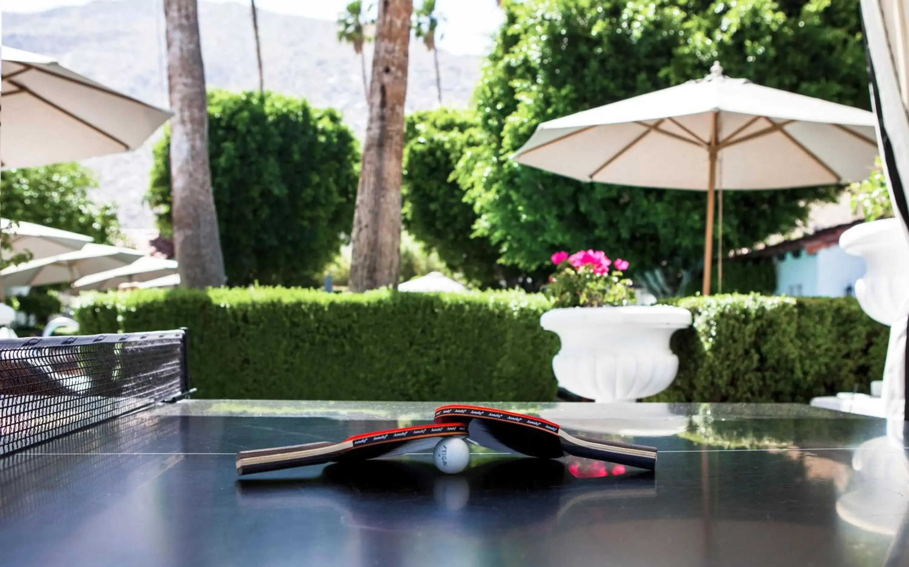 Table tennis in Avalon Hotel and Bungalows Palm Springs
