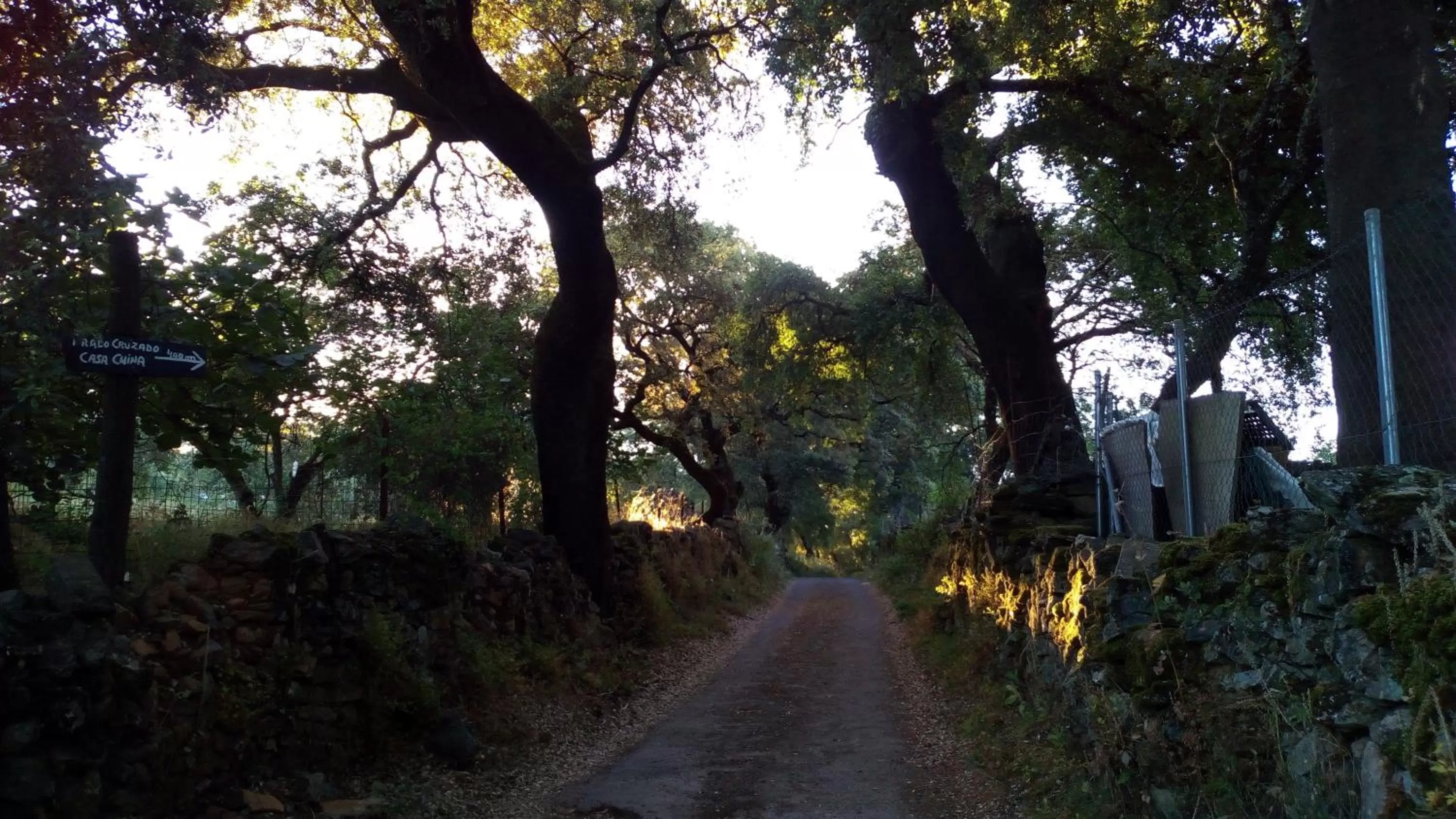 Natural landscape in Hotel La Era de Aracena - Adults Only