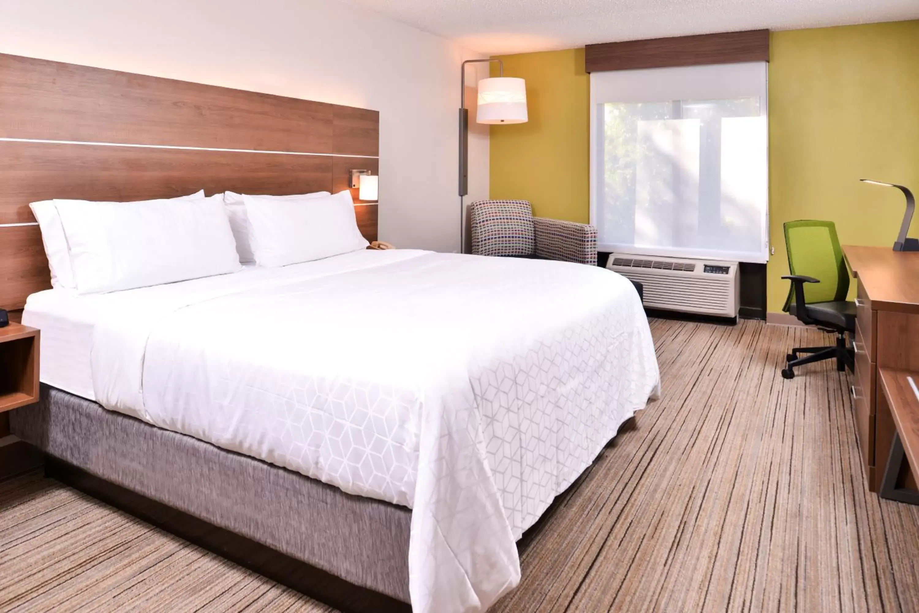 Bedroom, Bed in Holiday Inn Express Hotel & Suites Tampa-Anderson Road-Veterans Exp, an IHG Hotel