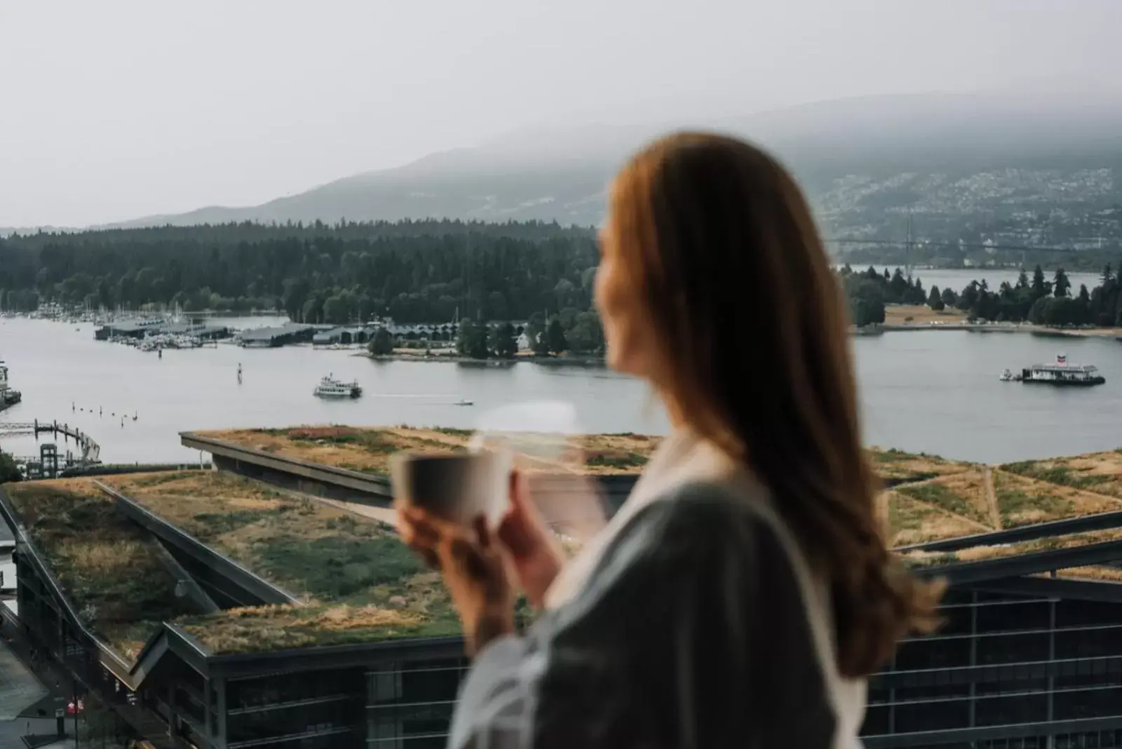 Mountain view in Fairmont Waterfront