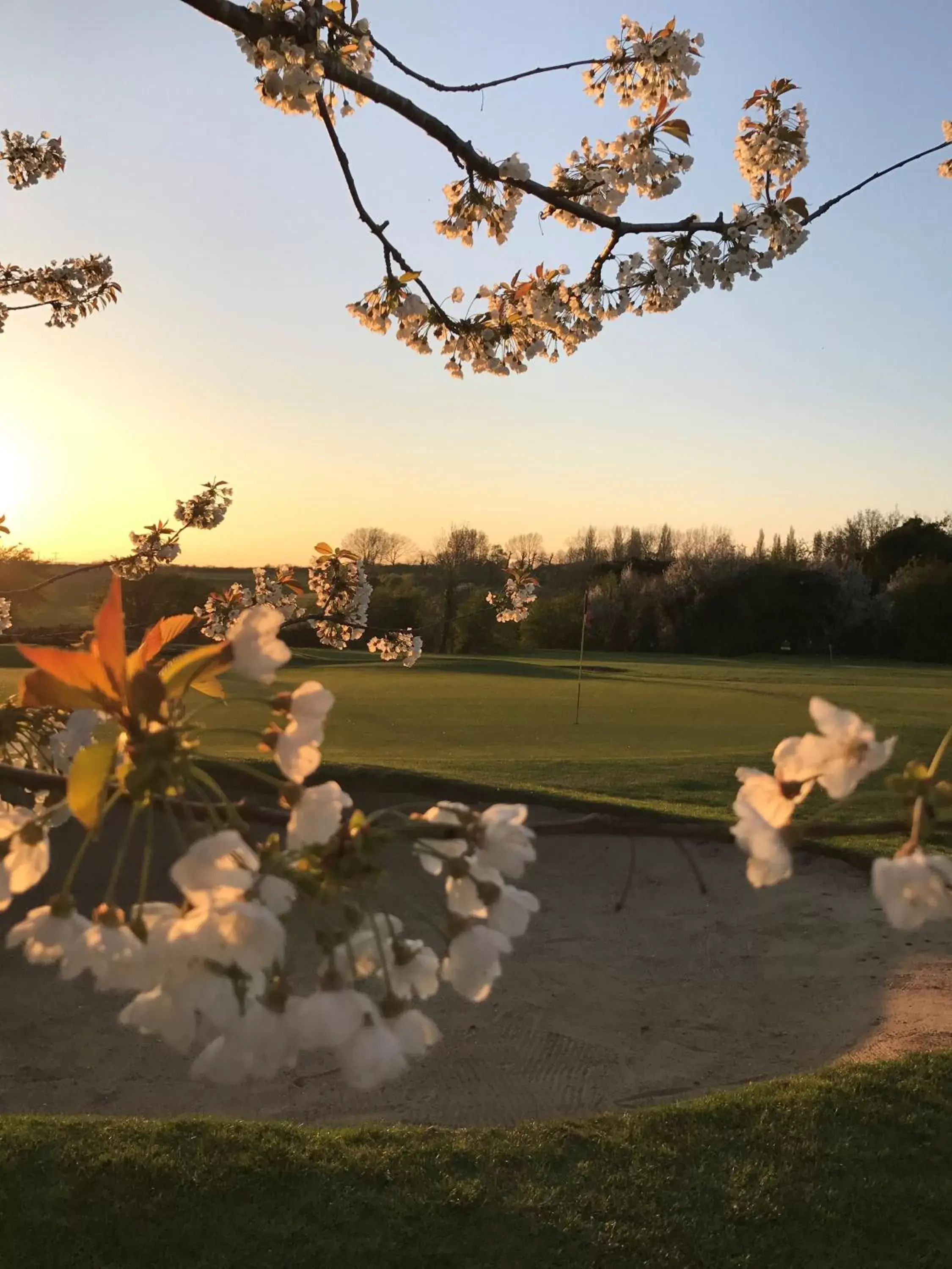 Golfcourse, Garden in Woodland Manor Hotel