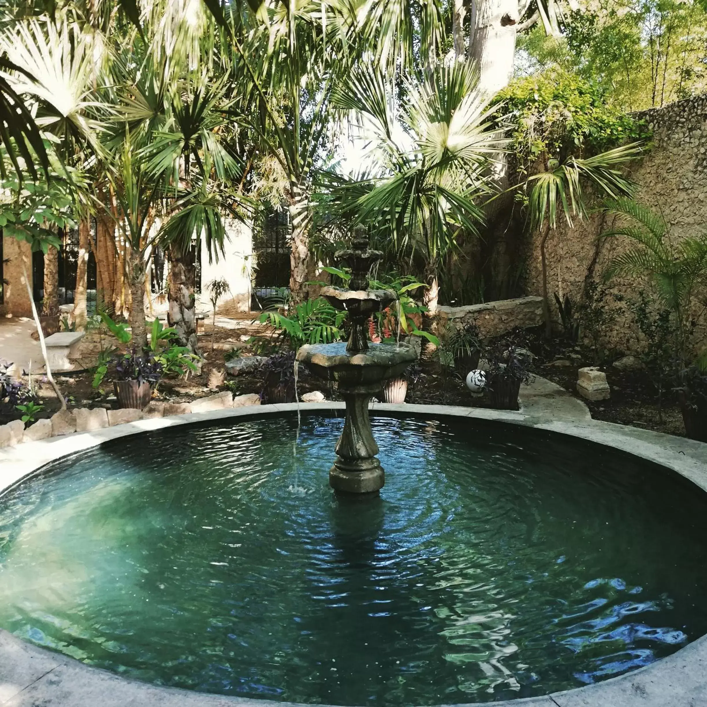 Garden, Swimming Pool in Villa Merida Boutique Hotel