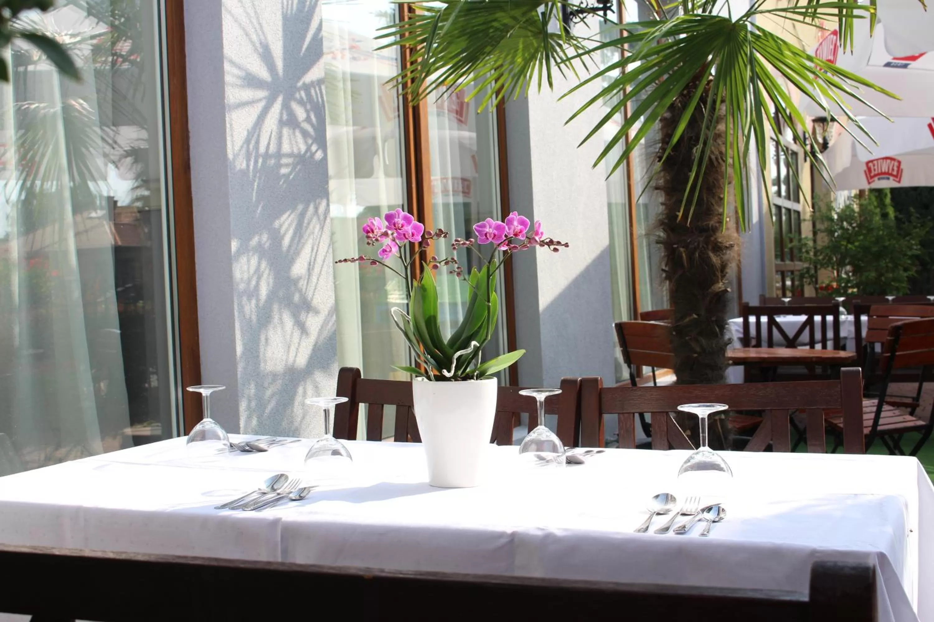 Patio in PIANO CAFE b&b