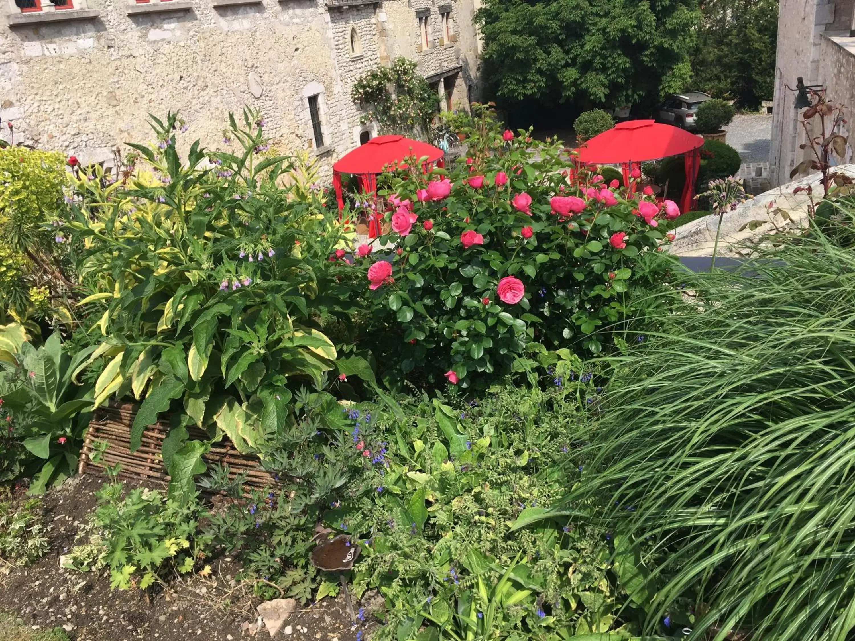 Garden in Demeure des Vieux Bains