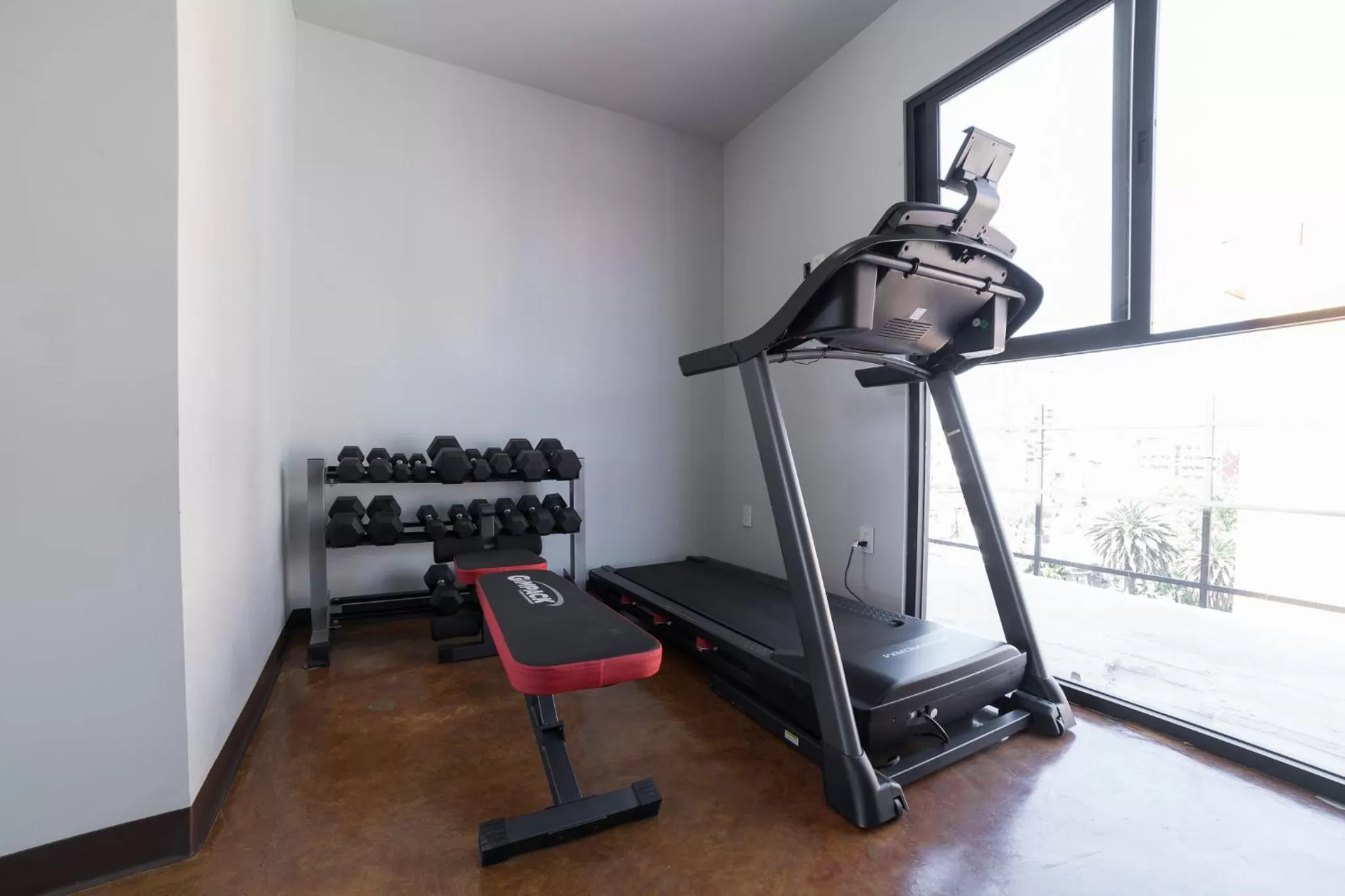 Fitness centre/facilities in Hotel Círculo Condesa