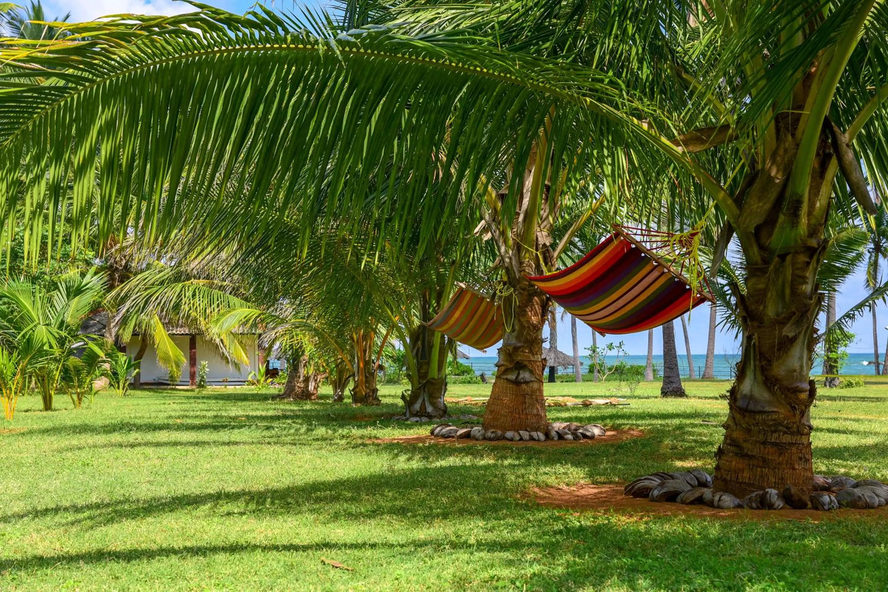 Garden in 108 Palms Beach Resort