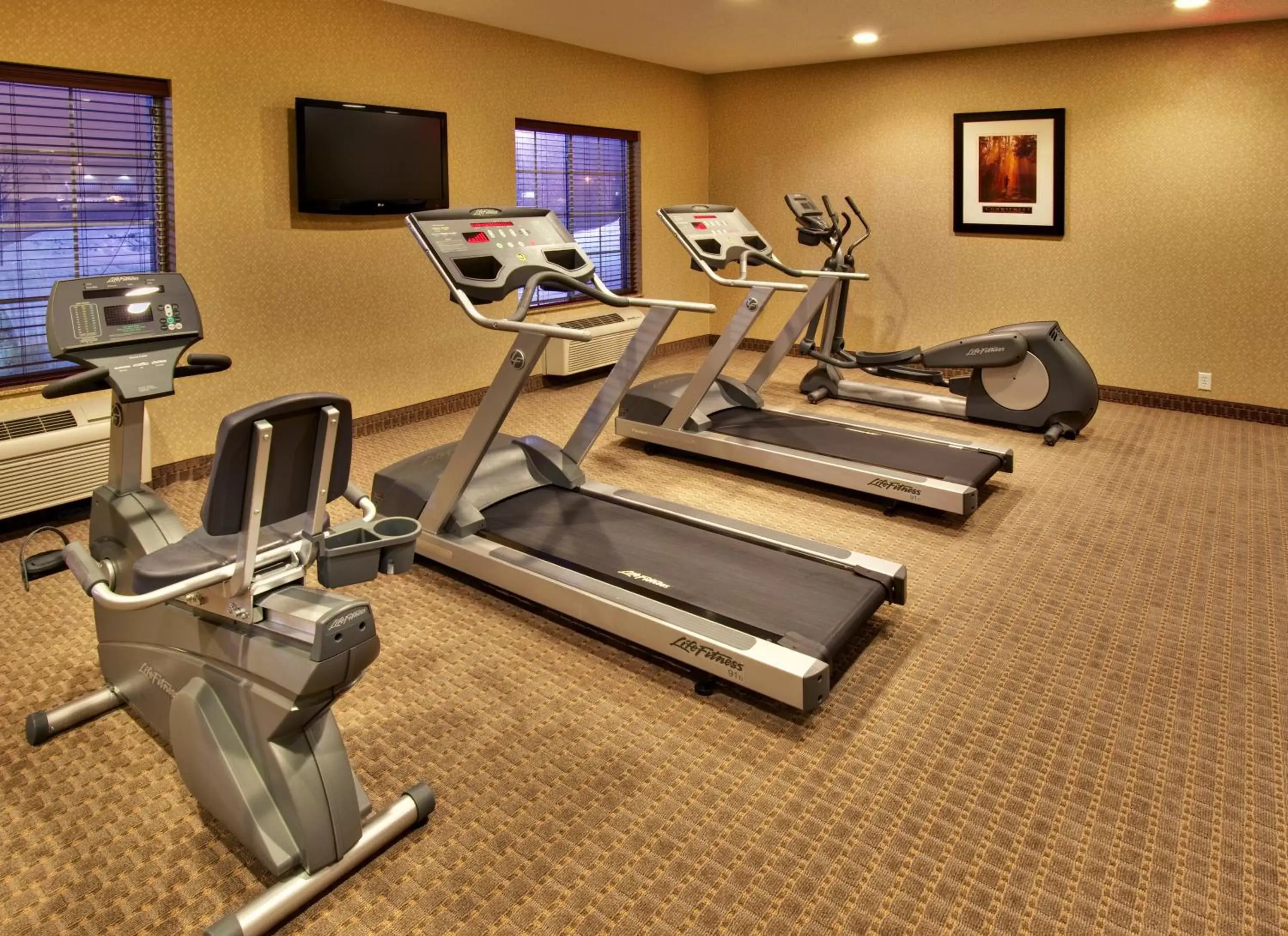 Fitness centre/facilities, Fitness Center/Facilities in Holiday Inn Express Hotel & Suites Council Bluffs - Convention Center Area, an IHG Hotel