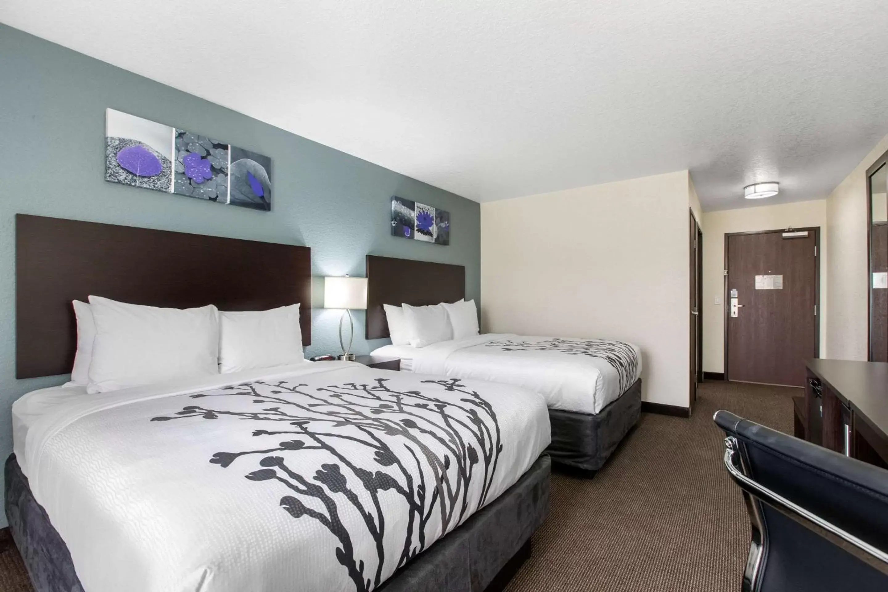 Photo of the whole room, Bed in Sleep Inn & Suites Ankeny - Des Moines