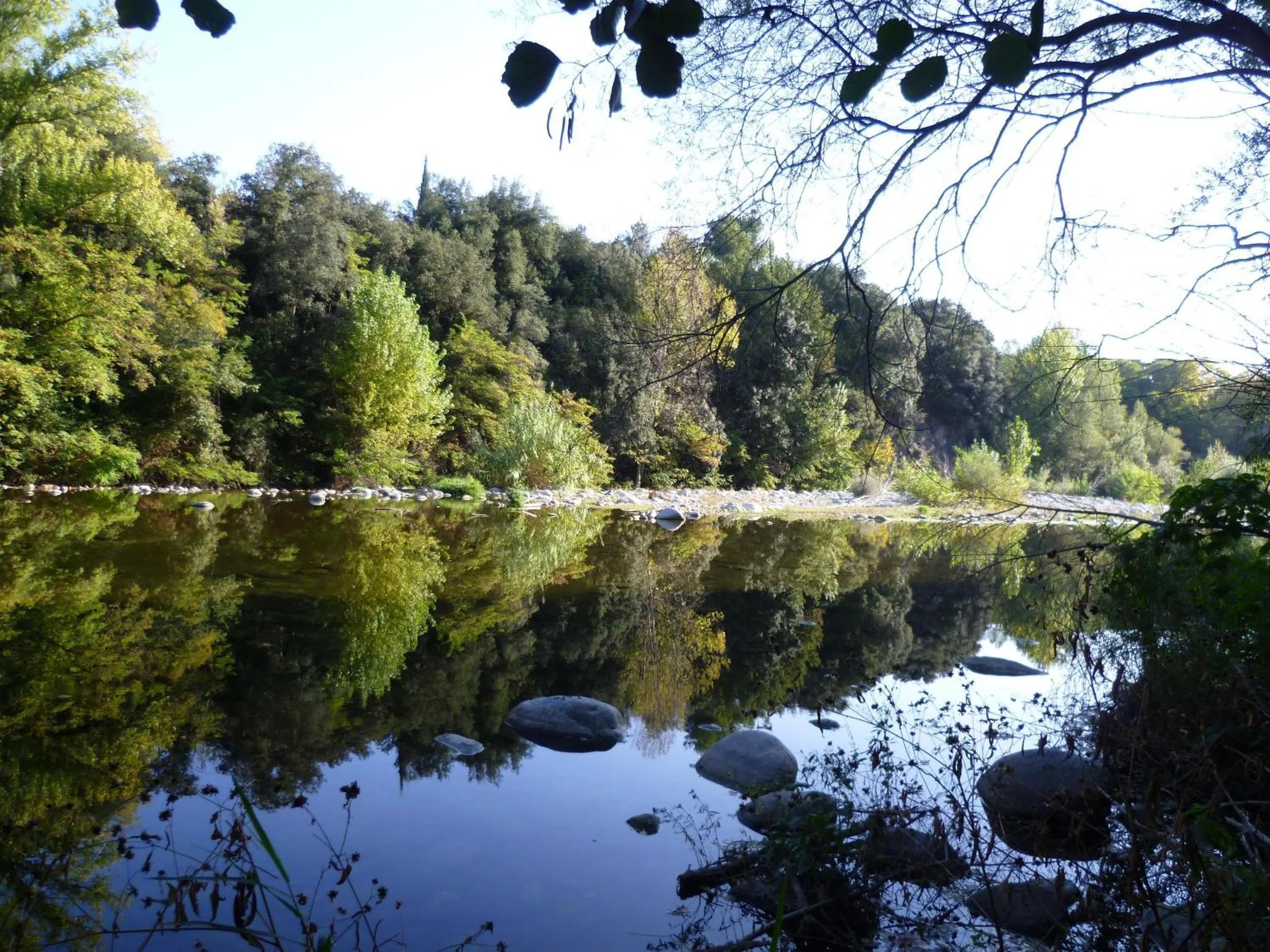Area and facilities in Hotel Le Mas Trilles