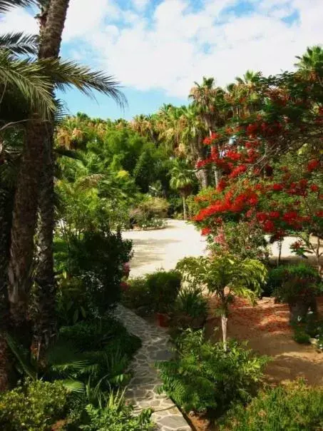 Garden, Pool View in Hacienda Todos Los Santos