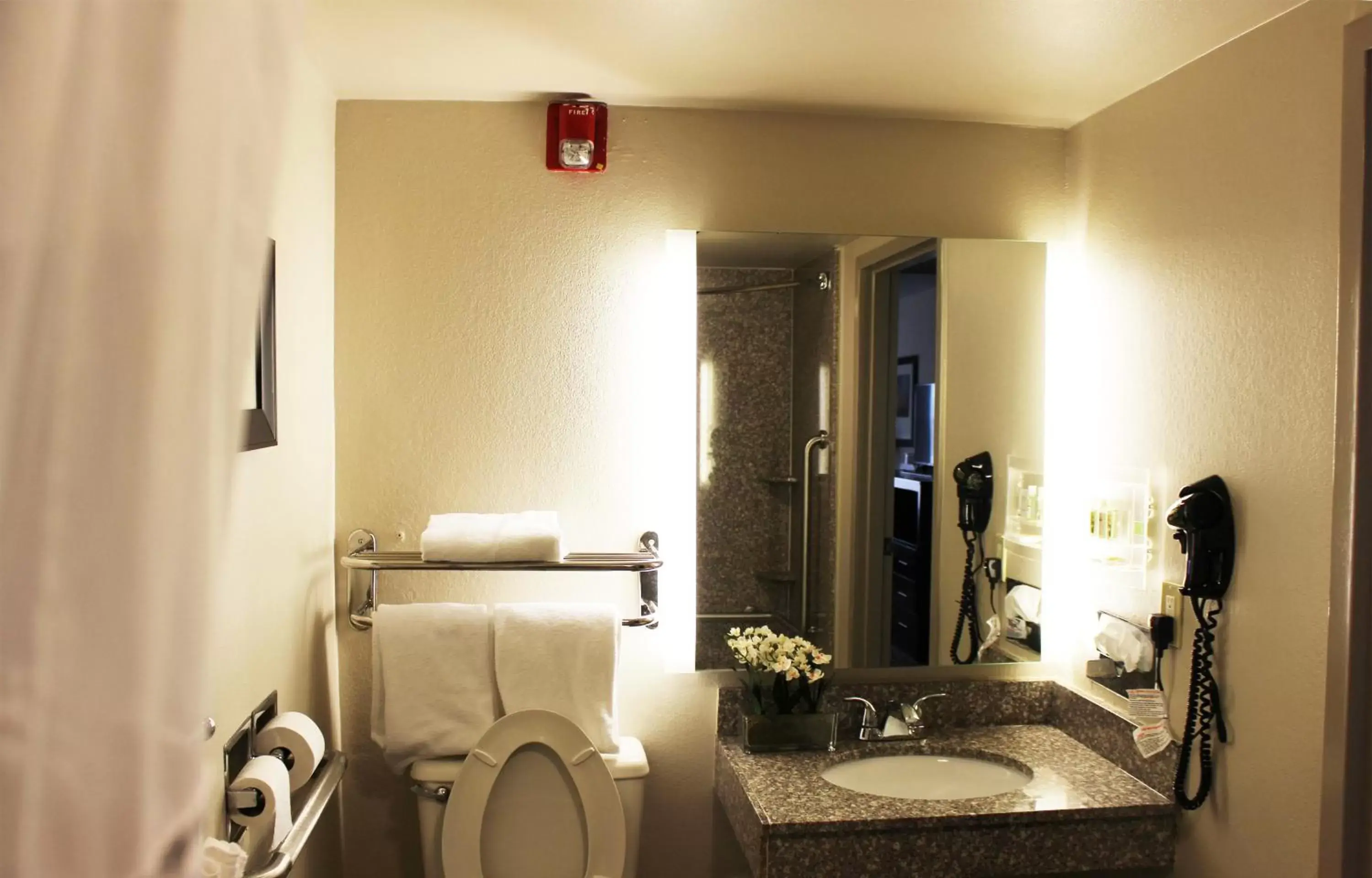 Photo of the whole room, Bathroom in Holiday Inn Hotel Atlanta-Northlake, a Full Service Hotel