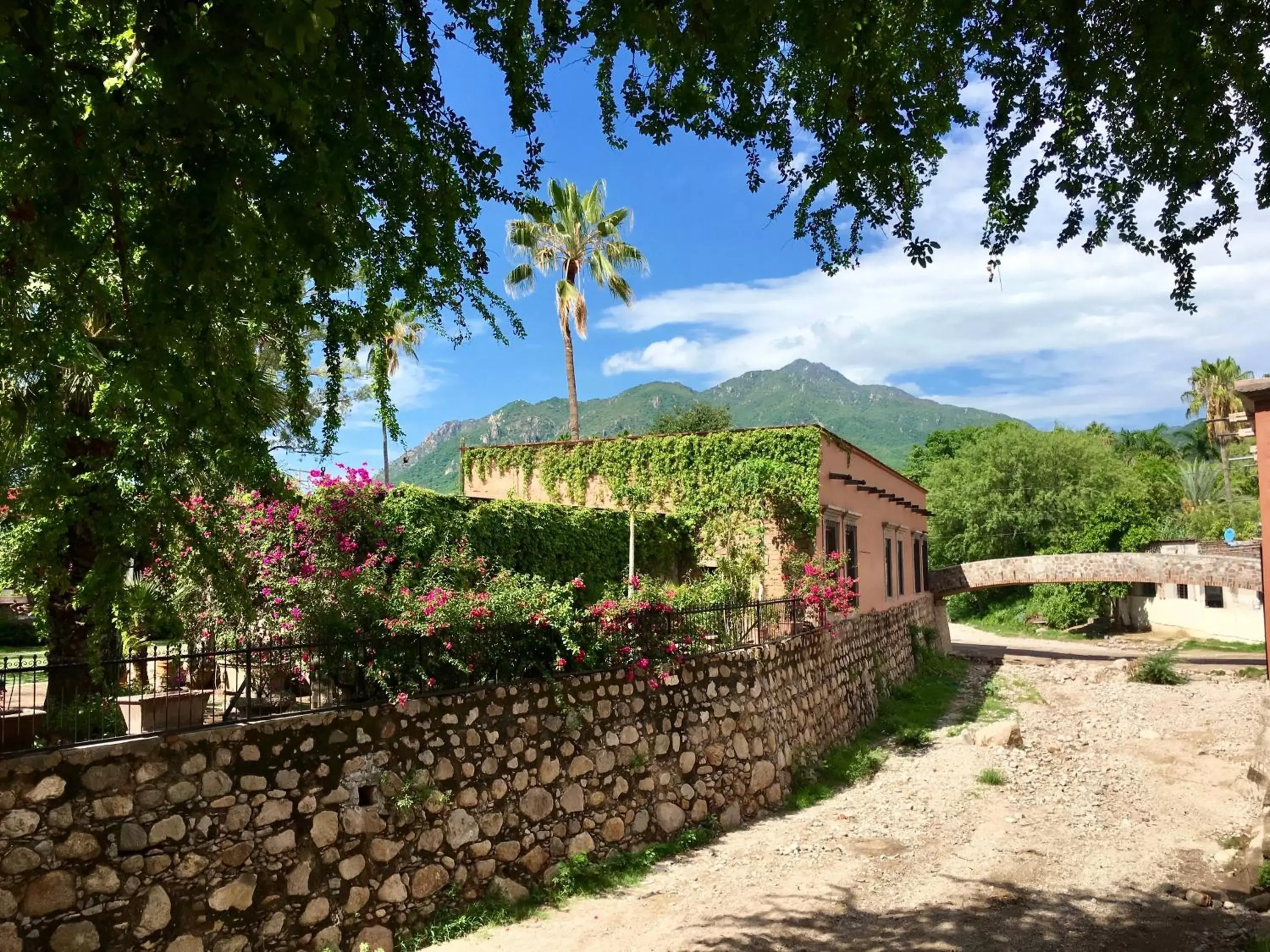 Natural landscape in Hacienda de los Santos