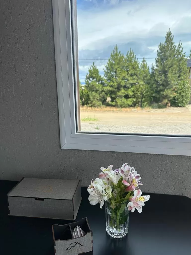 Tierra Tehuelche Hostería y Aparts