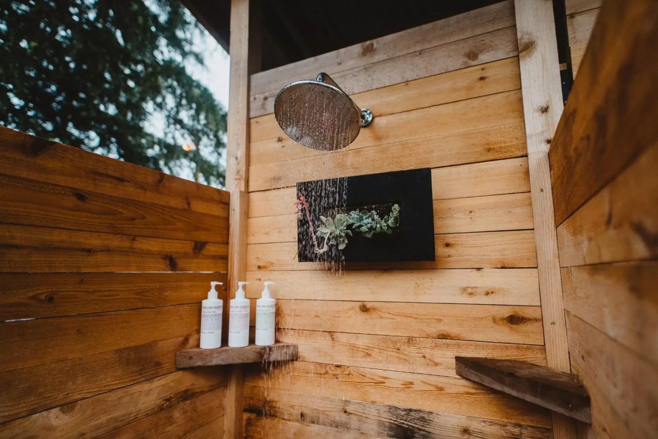 Area and facilities in The Shoreline Tofino