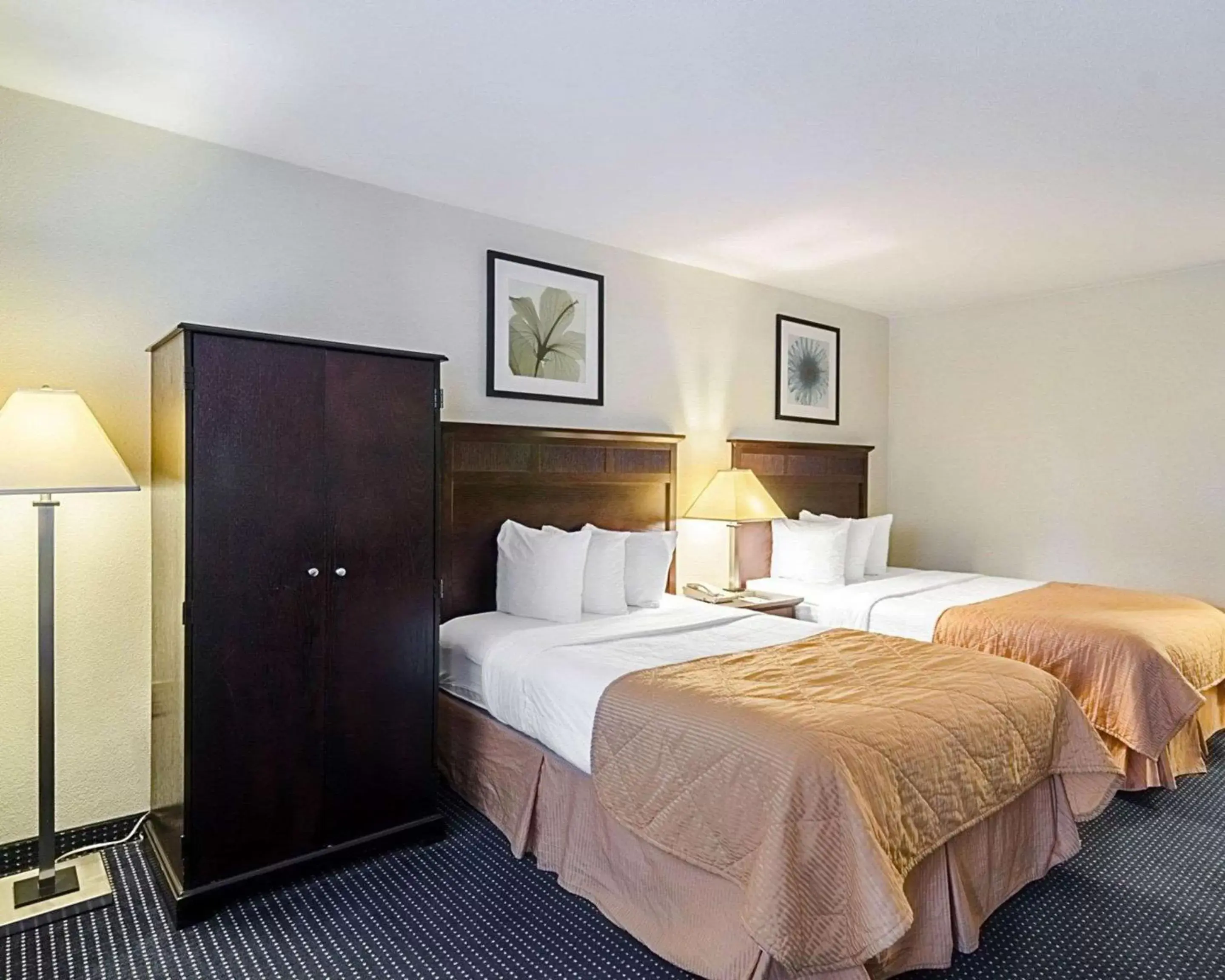 Photo of the whole room, Bed in Rodeway Inn & Suites Williamsburg Central
