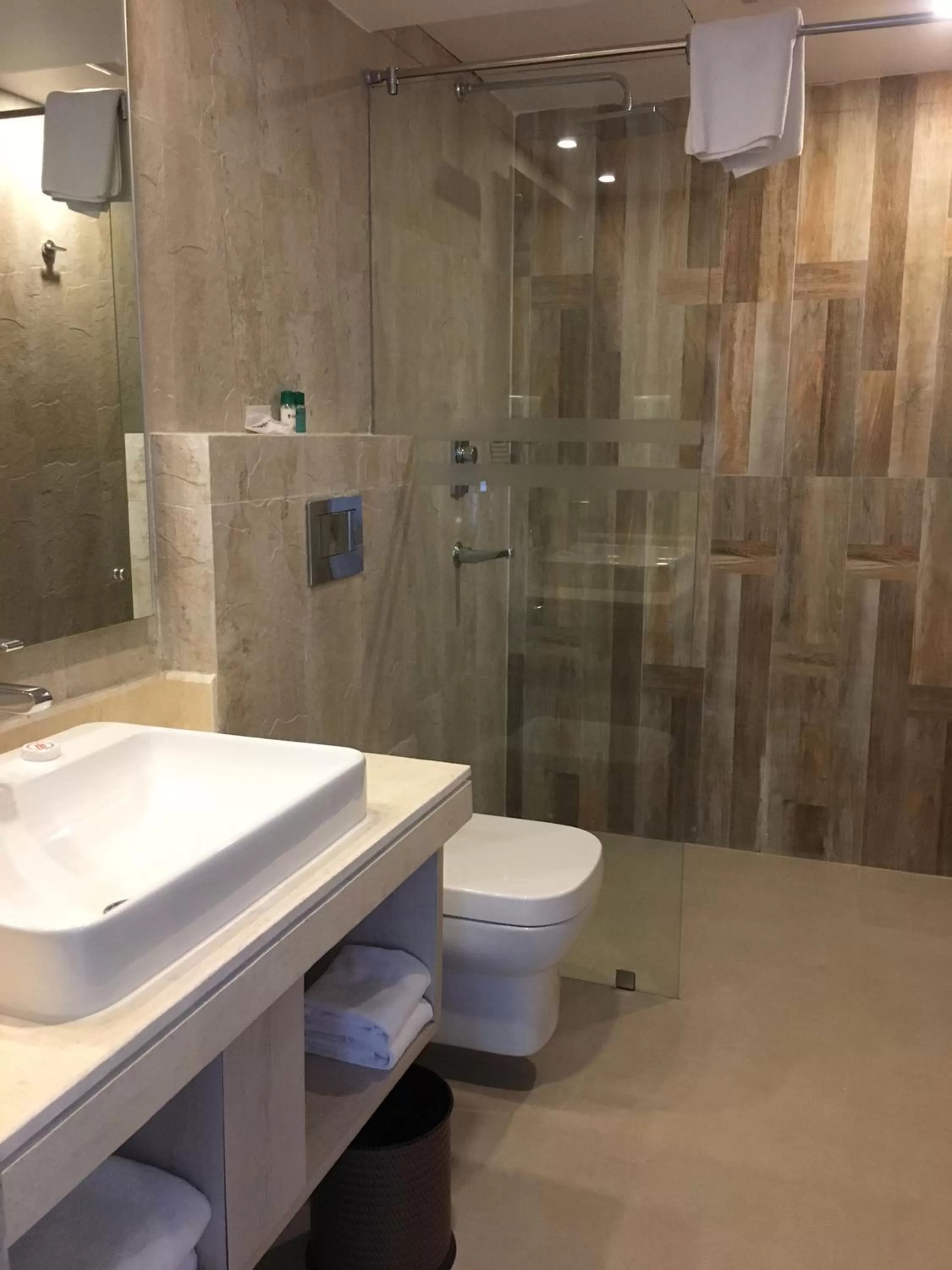 Bathroom in Hotel Barahi Pokhara