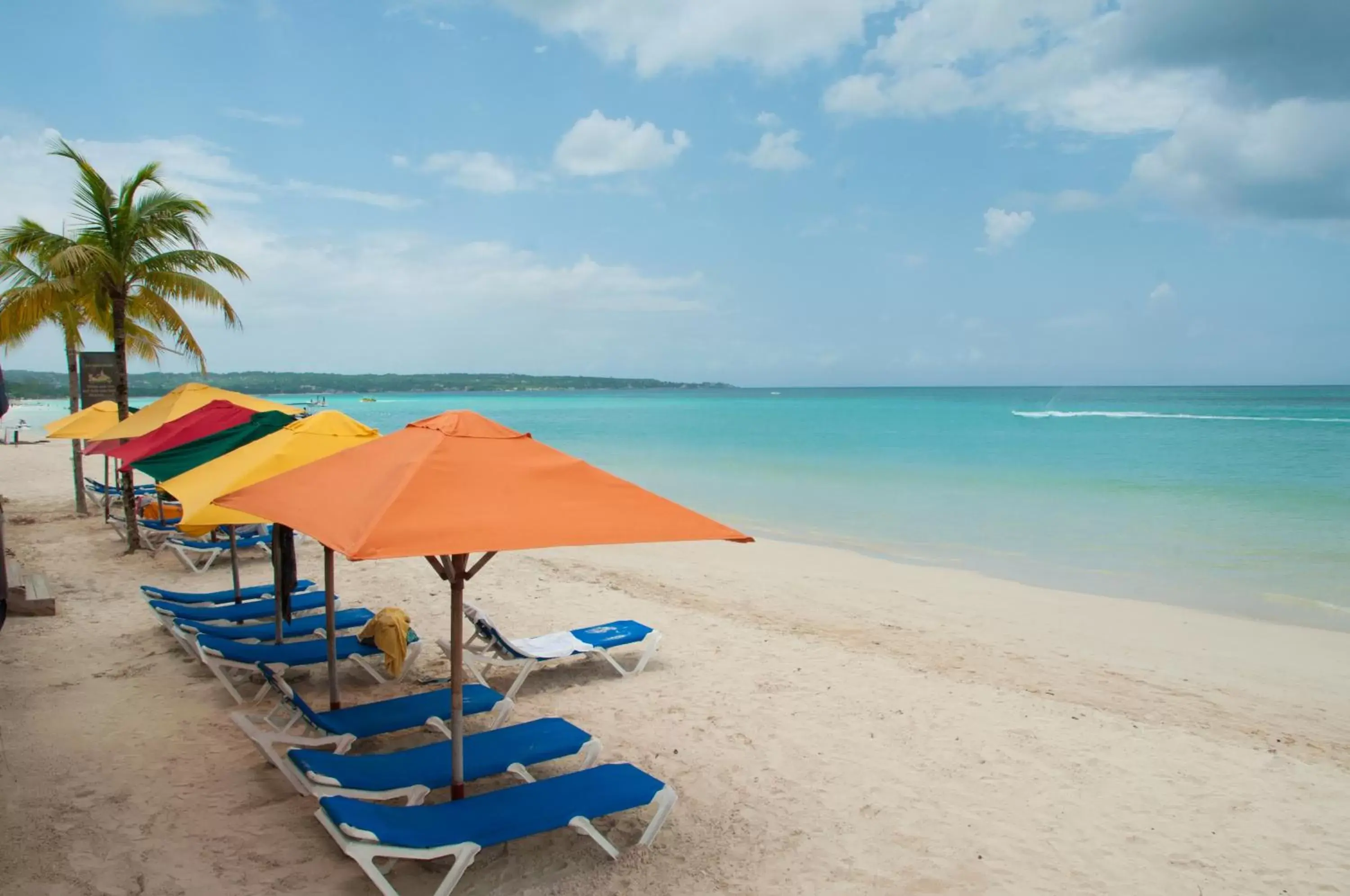 Beach in Negril Palms