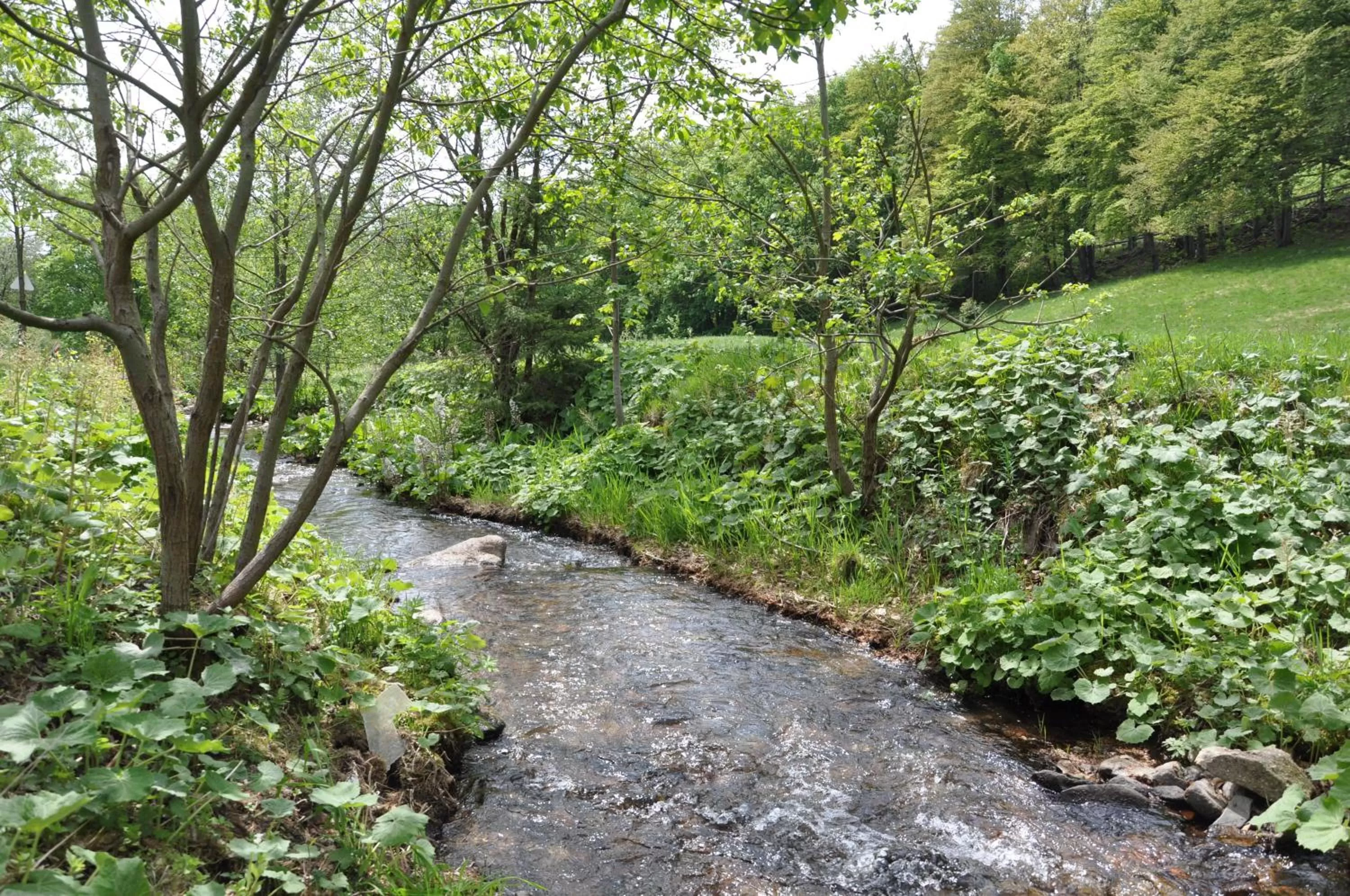Facade/entrance in Hotel Waldmühle