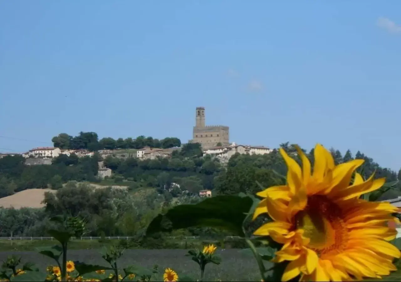 Nearby landmark in B&B BORGHI