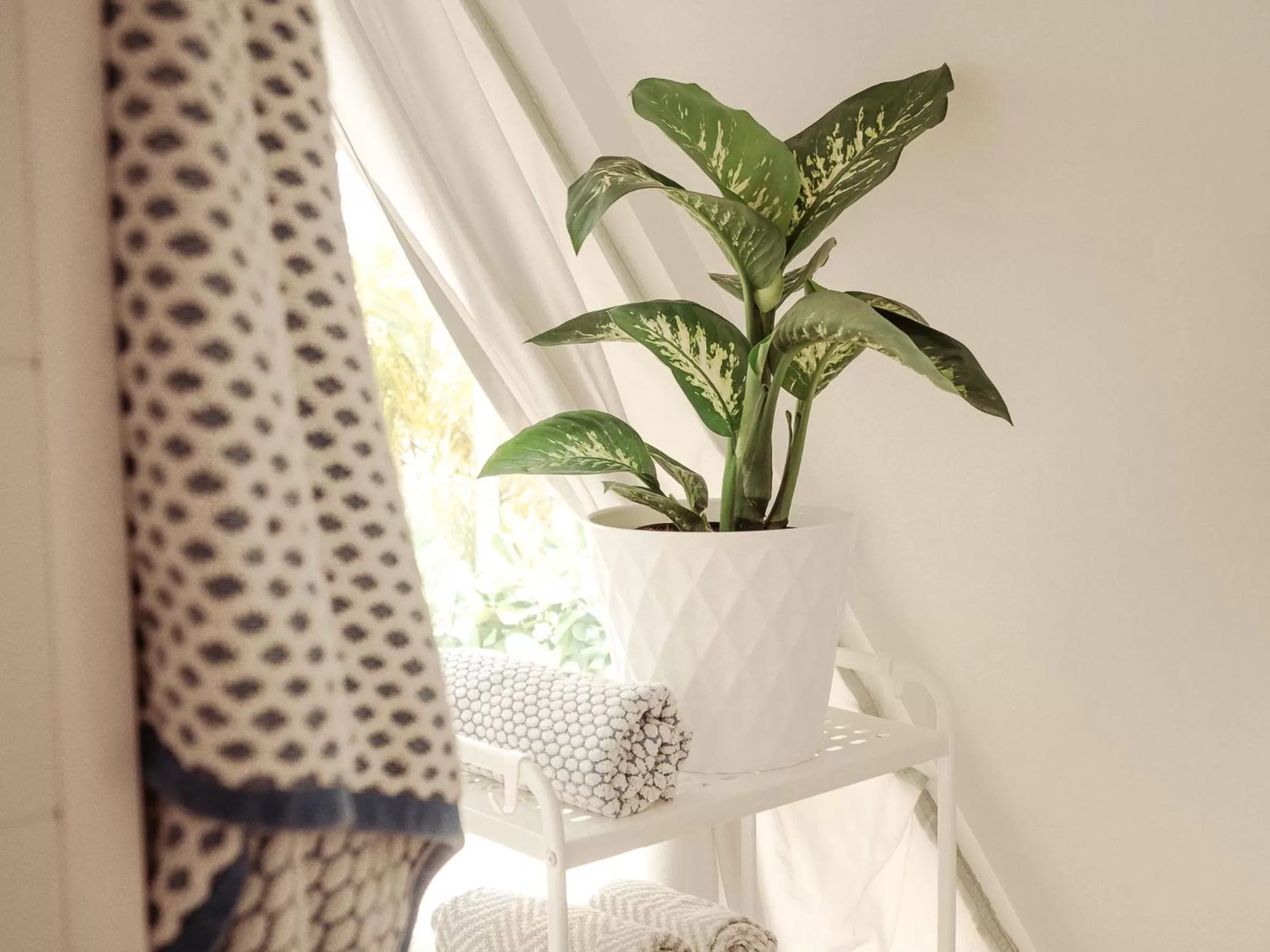 Decorative detail in Pyramids in Florida