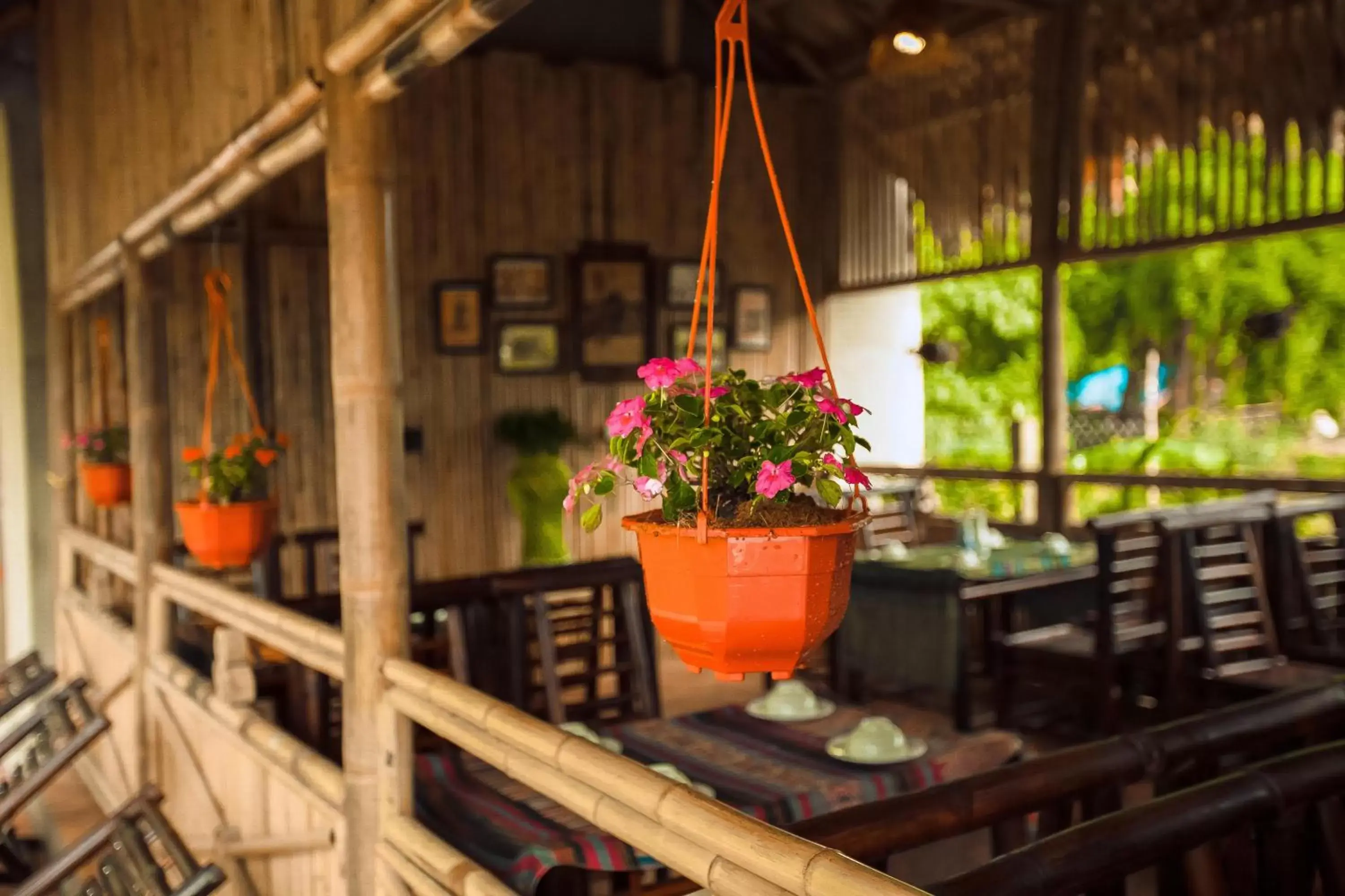 Restaurant/places to eat in Tam Coc Rice Fields Resort Restaurant/places to eat in Tam Coc Rice Fields Resort