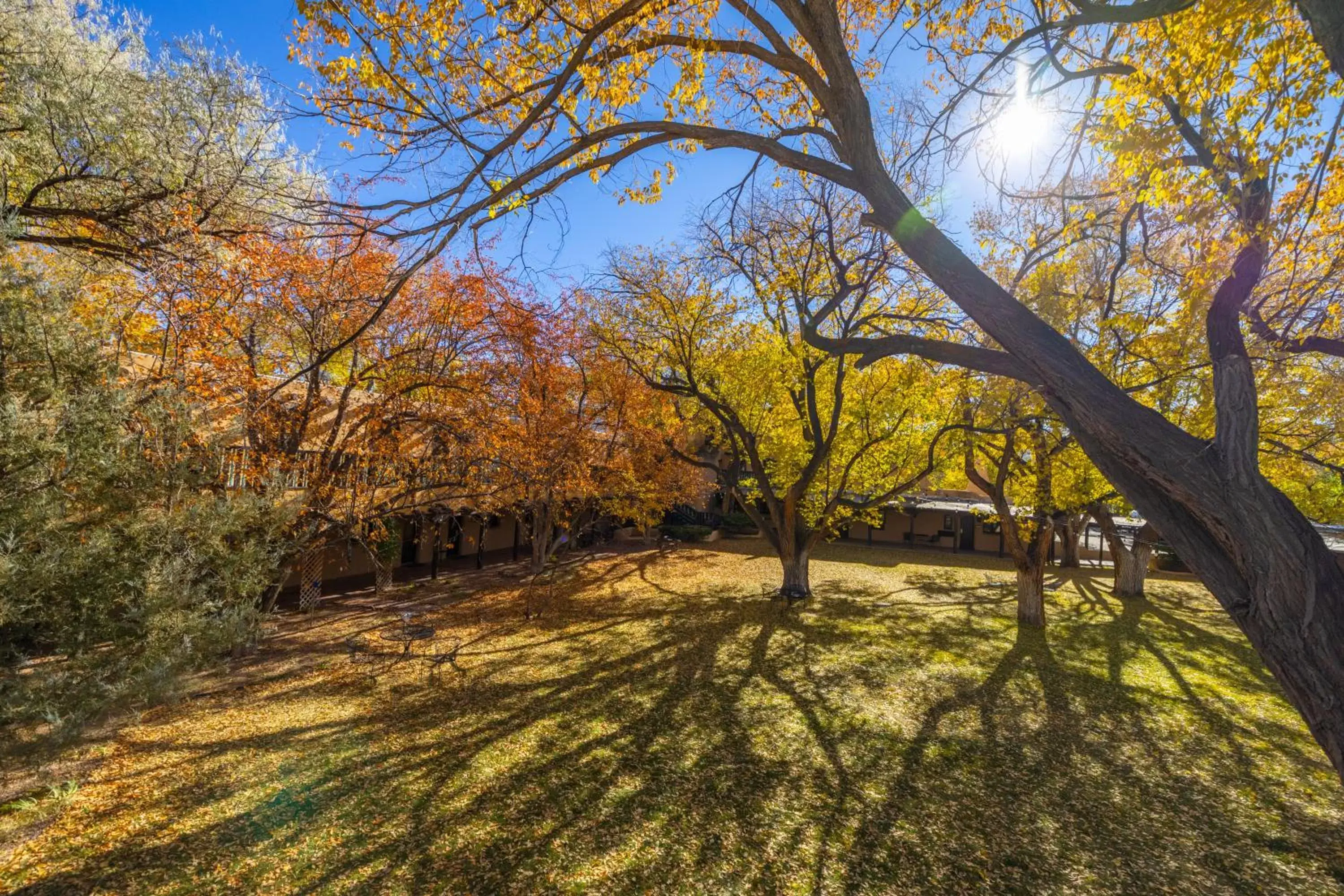 Natural landscape in Sagebrush Inn & Suites